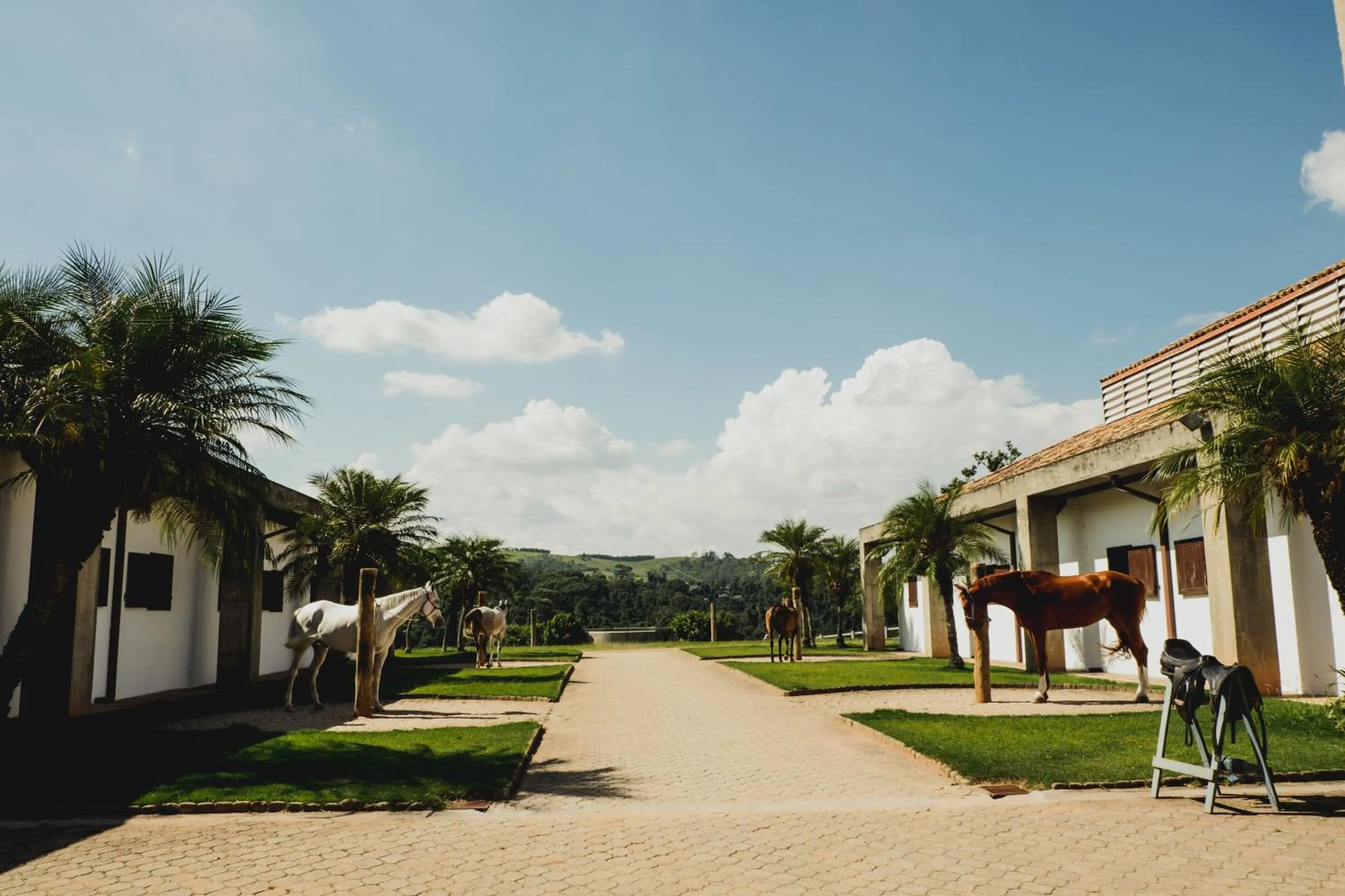 Hotel Fazenda Dona Carolina