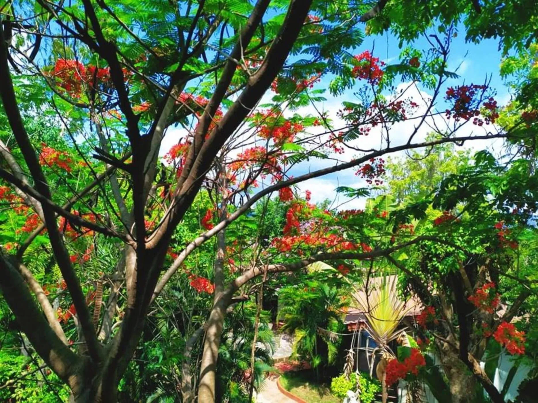 Denchai City Resort เด่นชัยซิตี้ รีสอร์ท