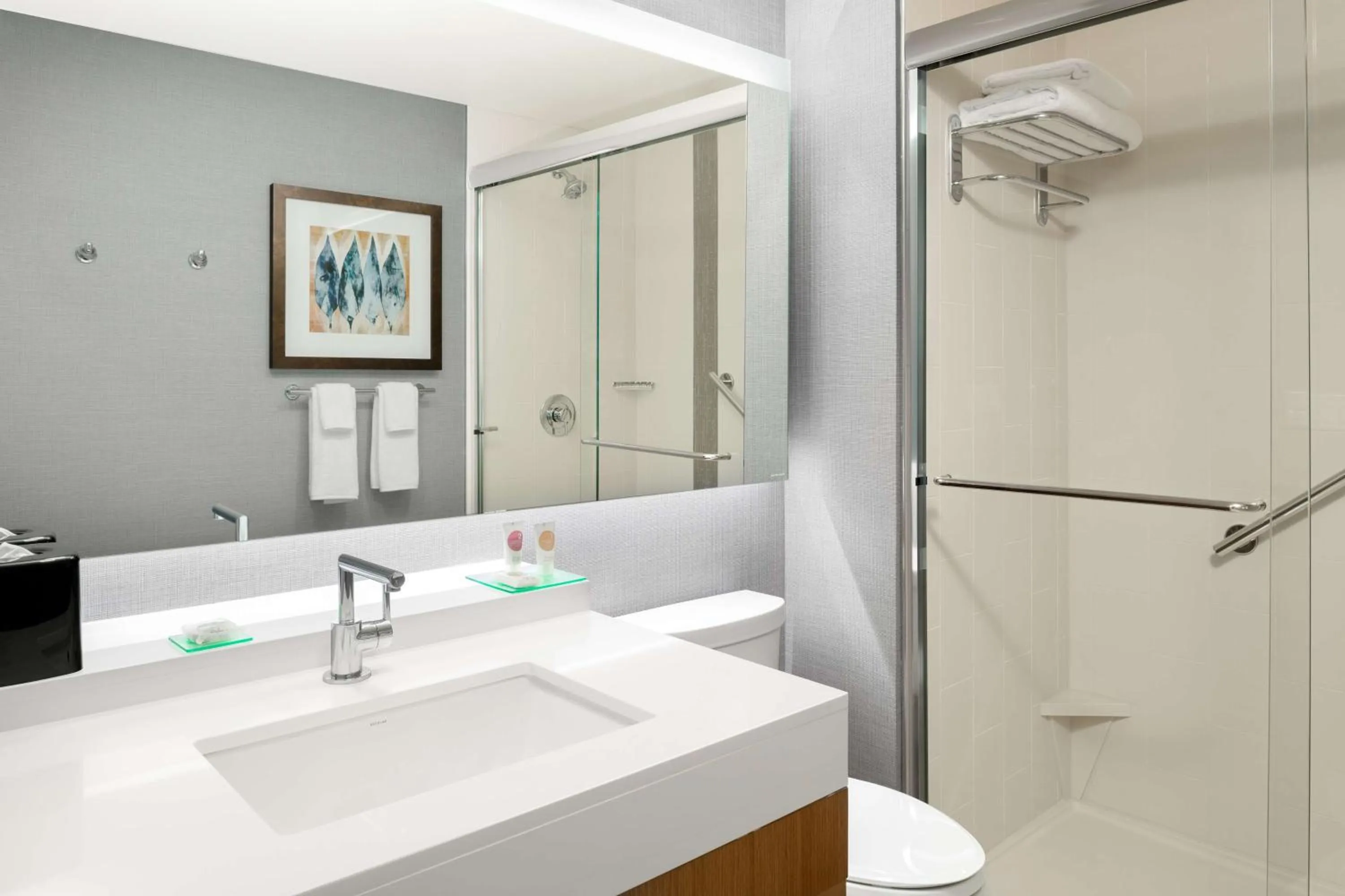 Bathroom in Hyatt Place Pasadena