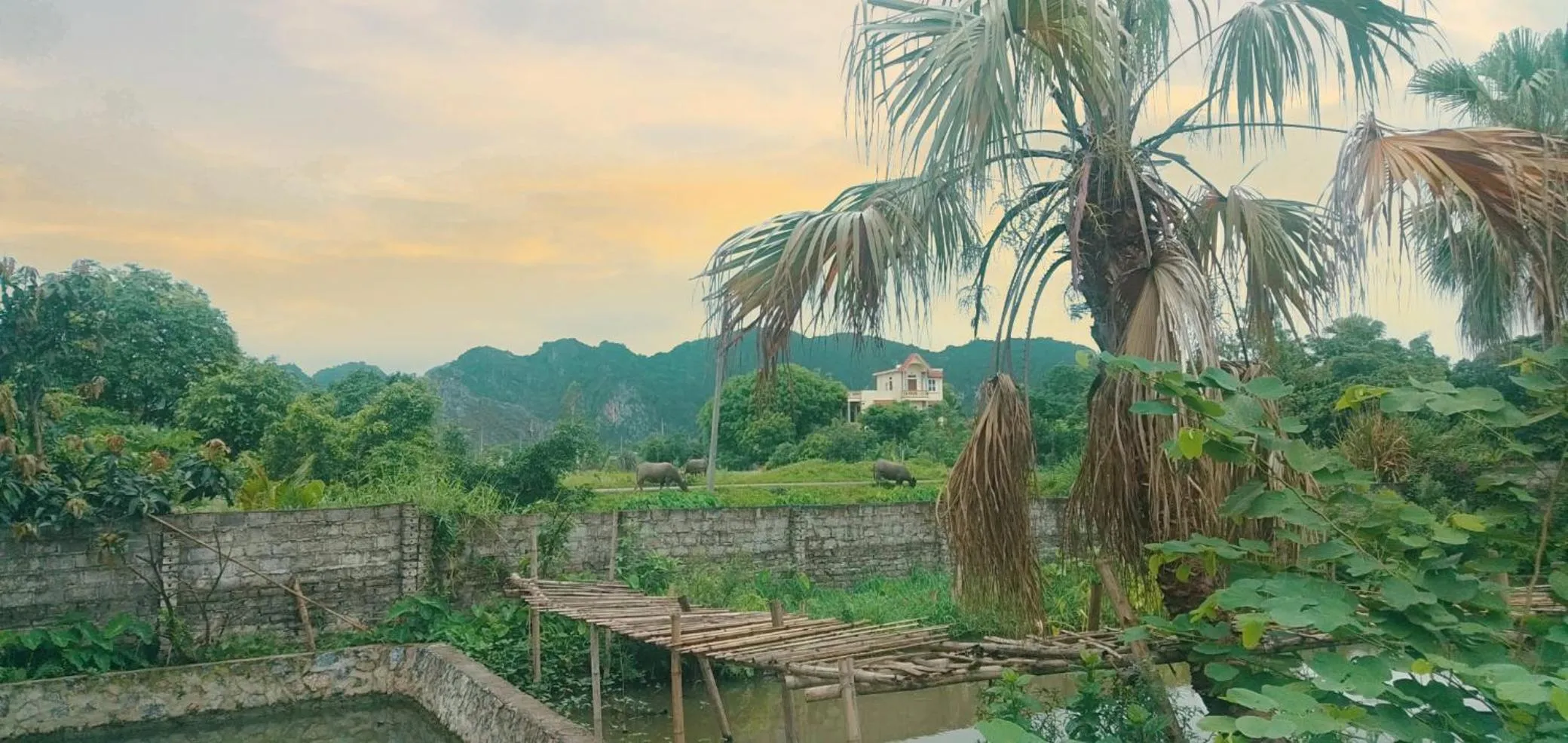 Sunny Trang An homestay