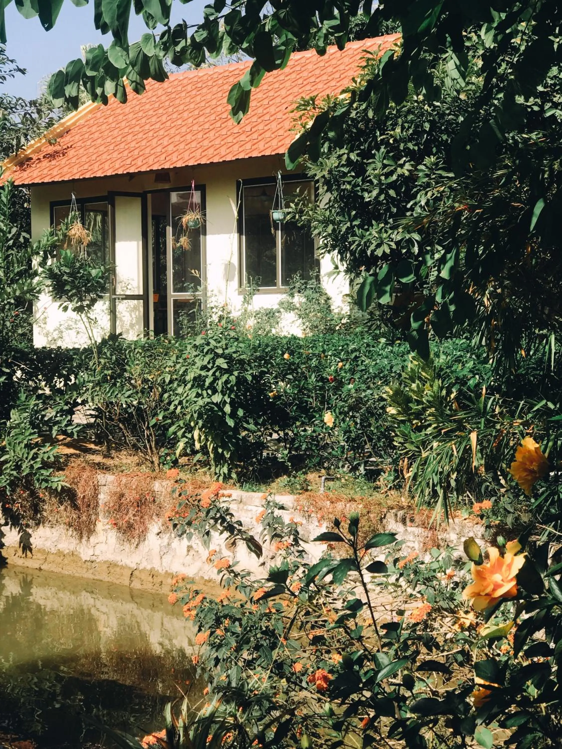 Sunny Trang An homestay