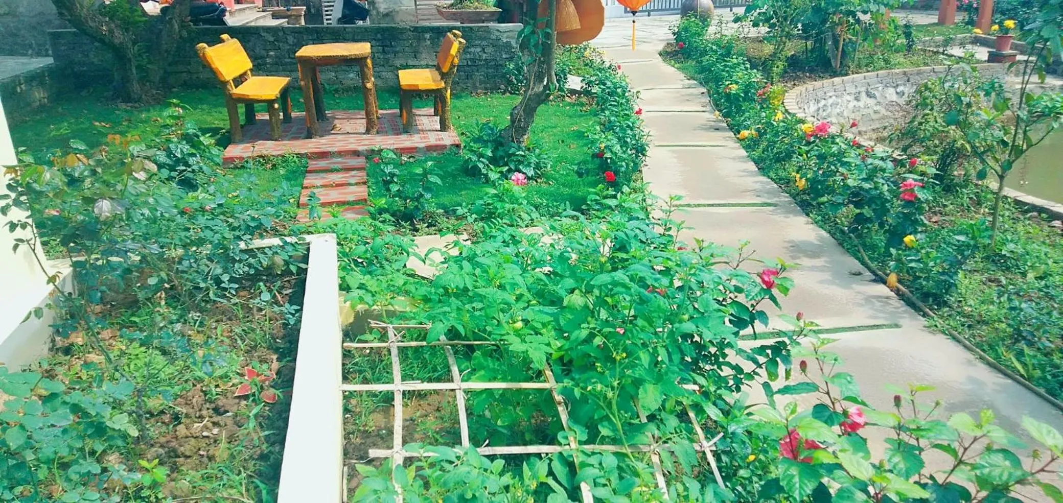 Sunny Trang An homestay