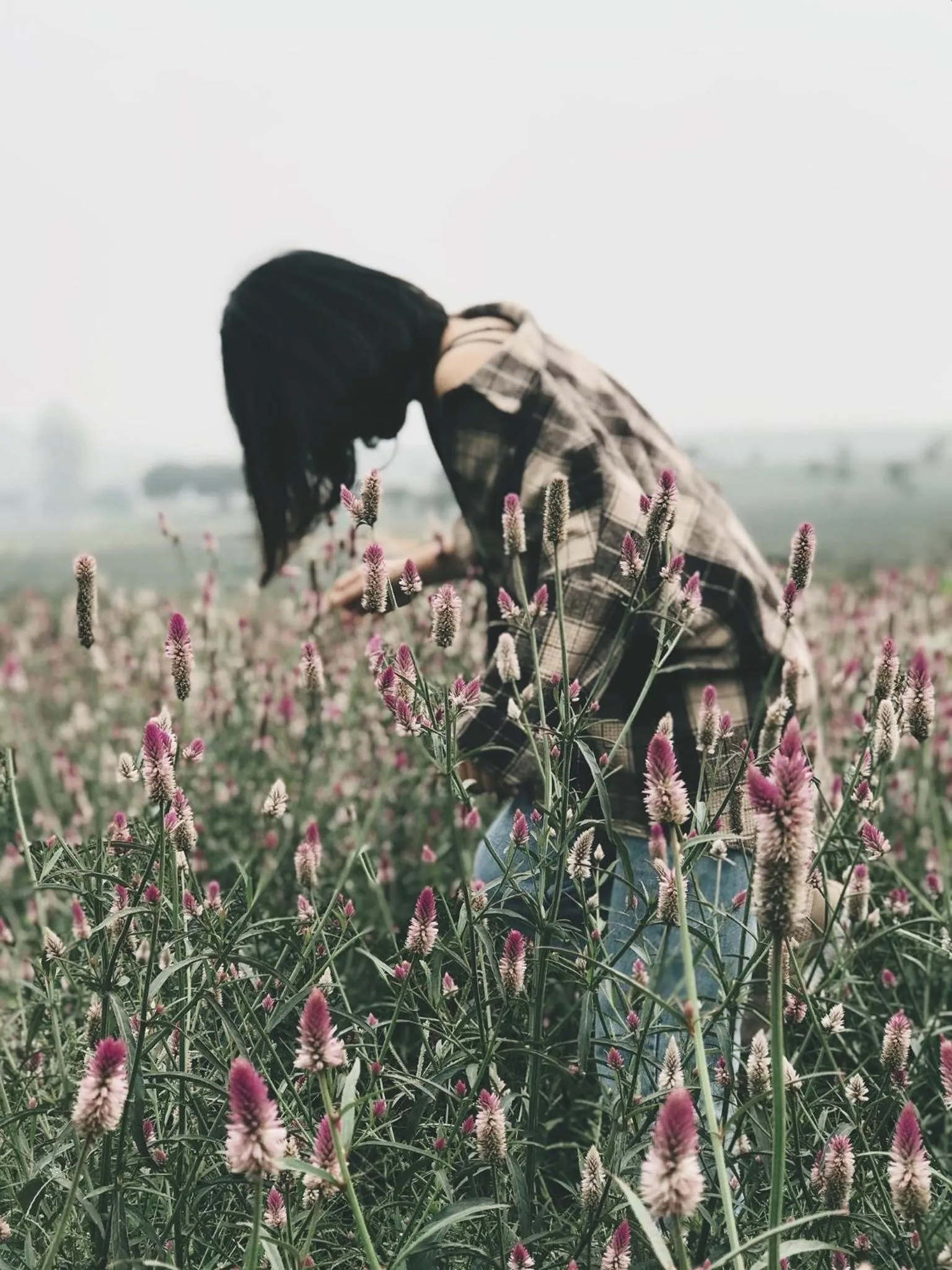 Sunny Trang An homestay