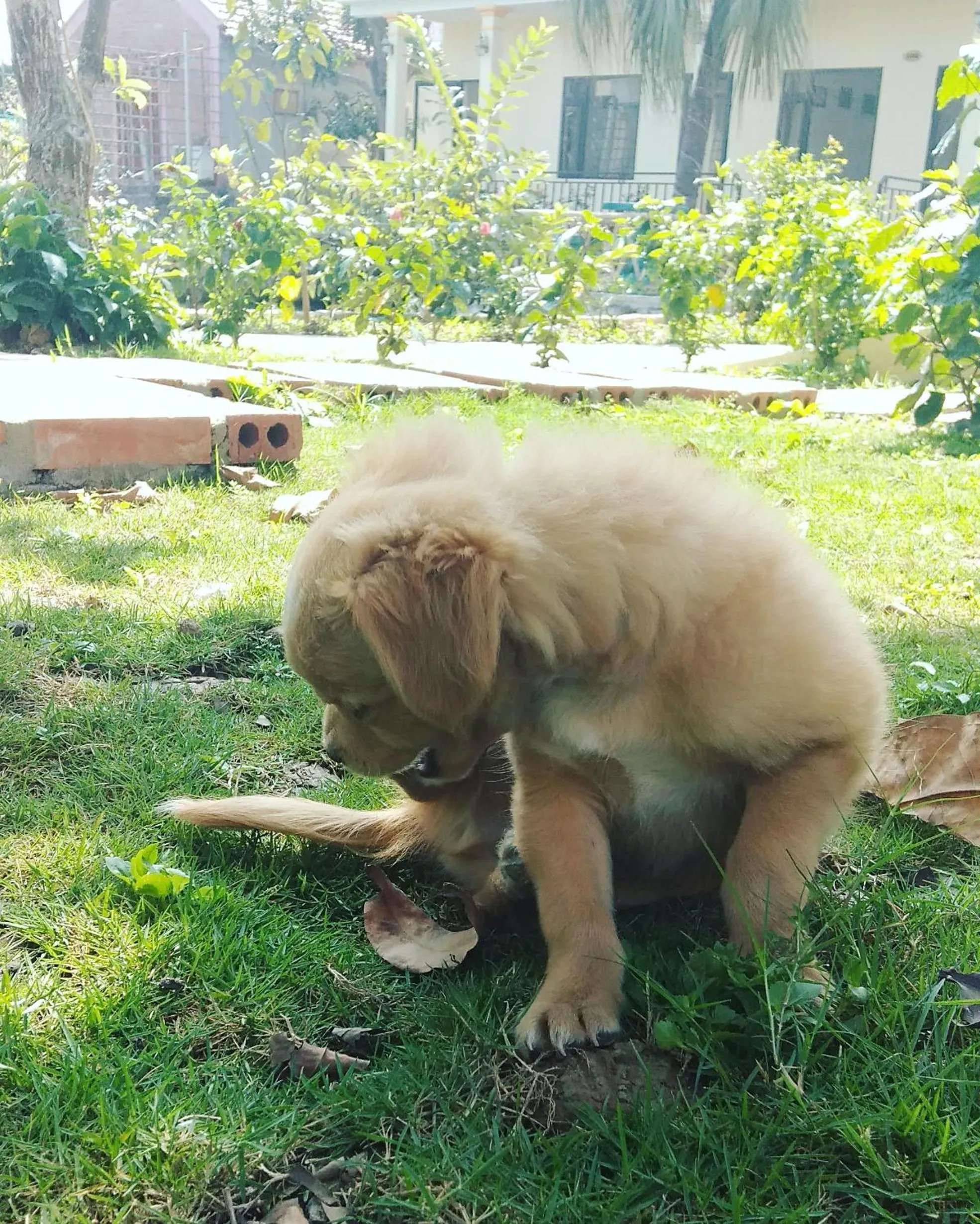 Sunny Trang An homestay