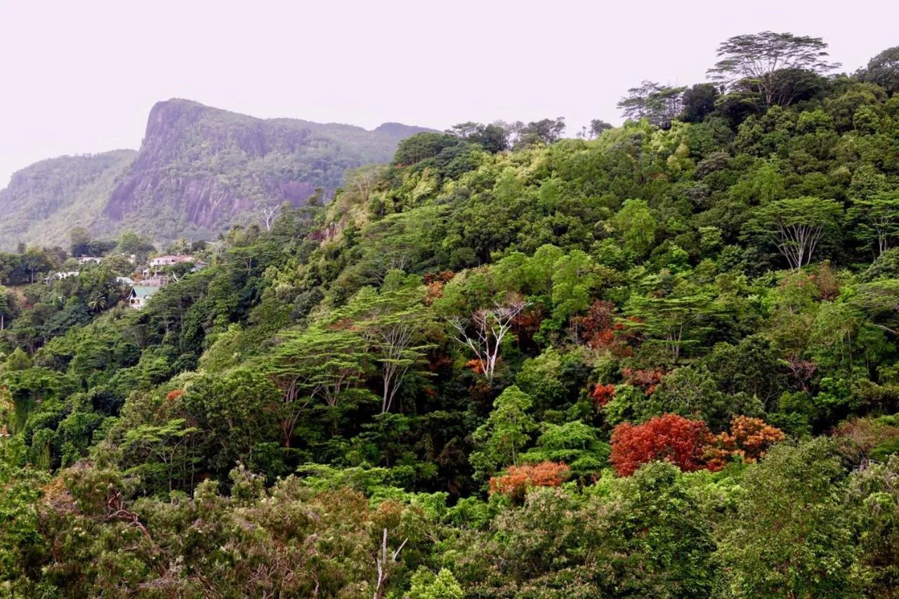 Nearby landmark in Blue Hill