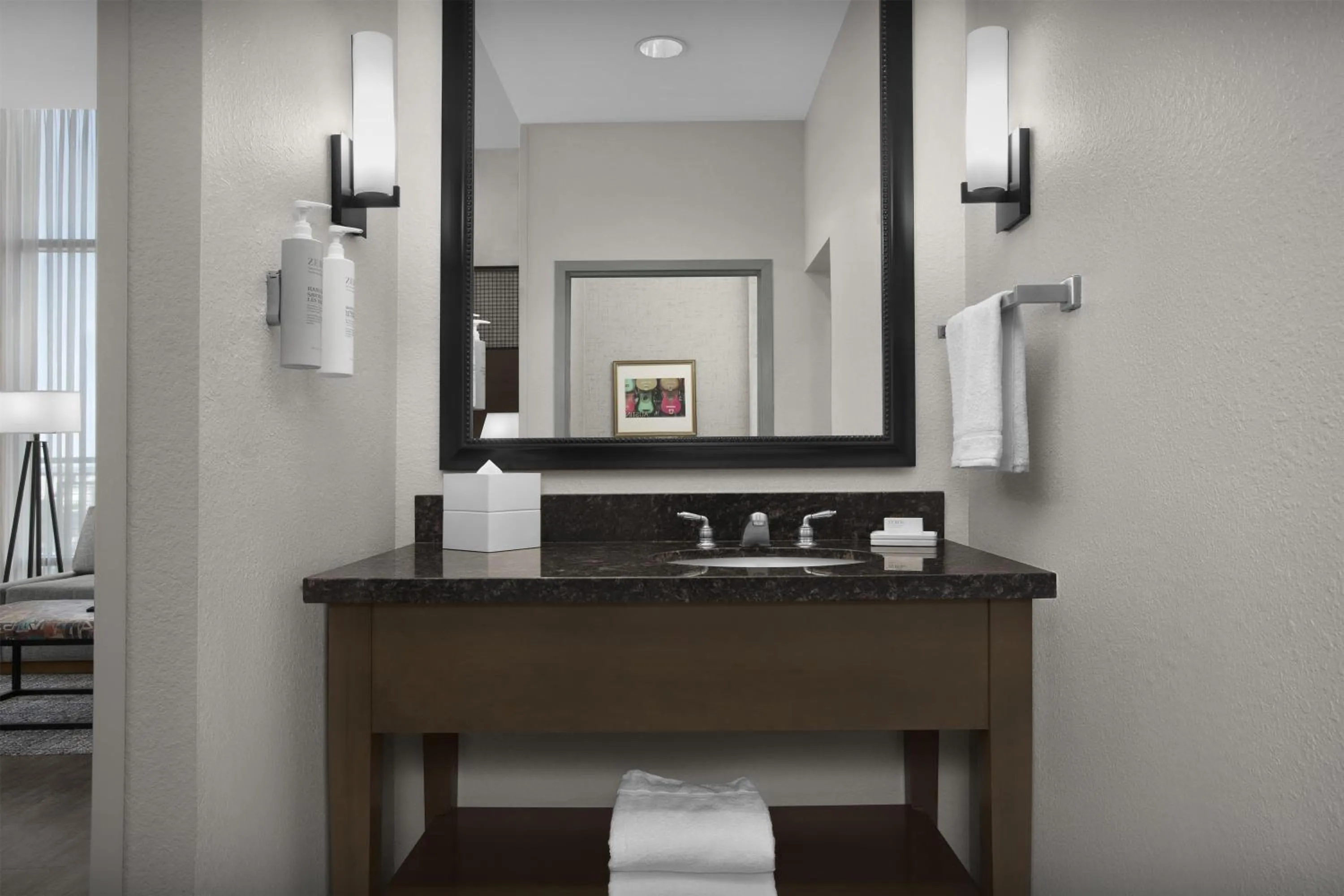 Bathroom in Hampton Inn and Suites Austin University Capitol