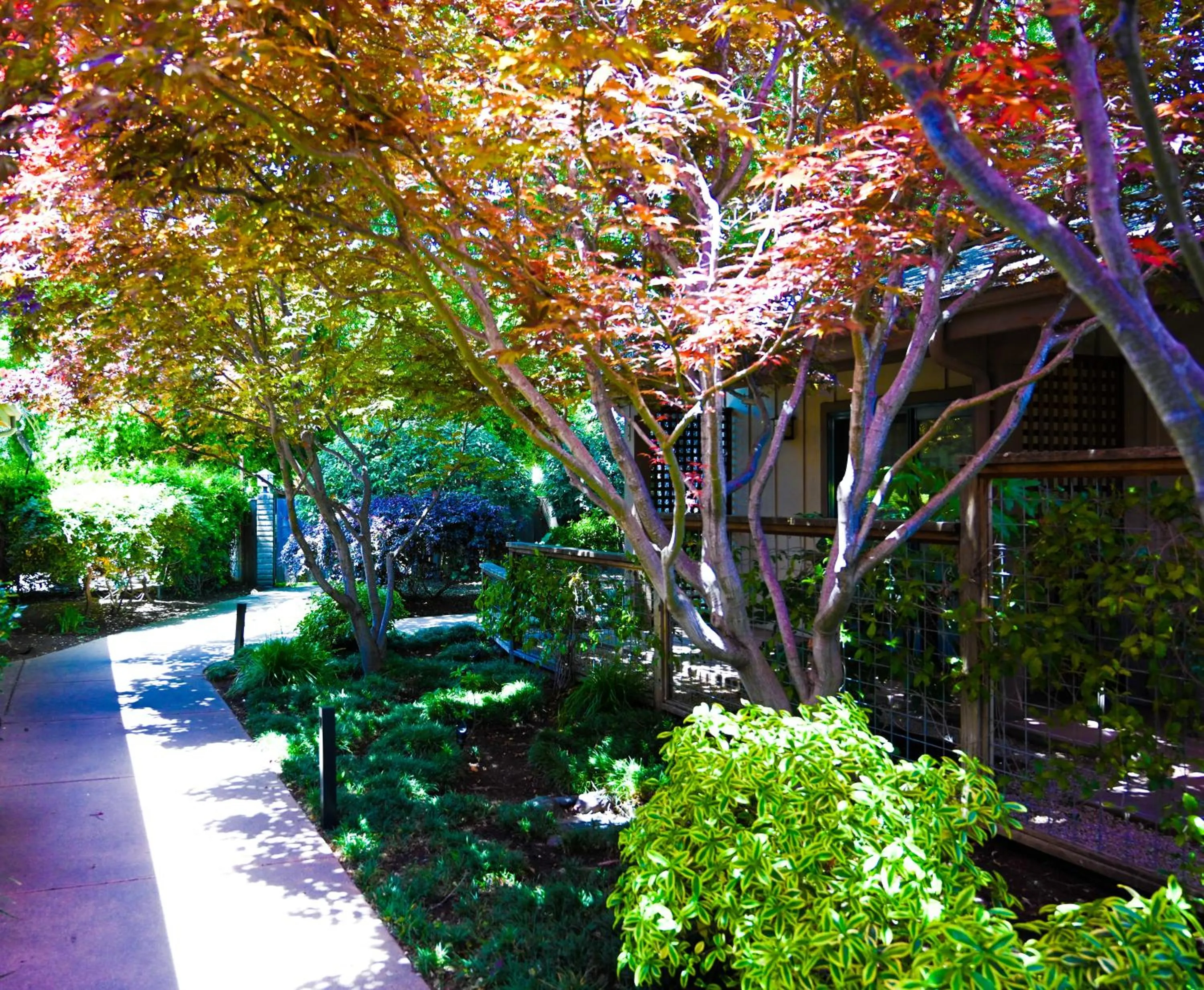 Spring in El Pueblo Inn