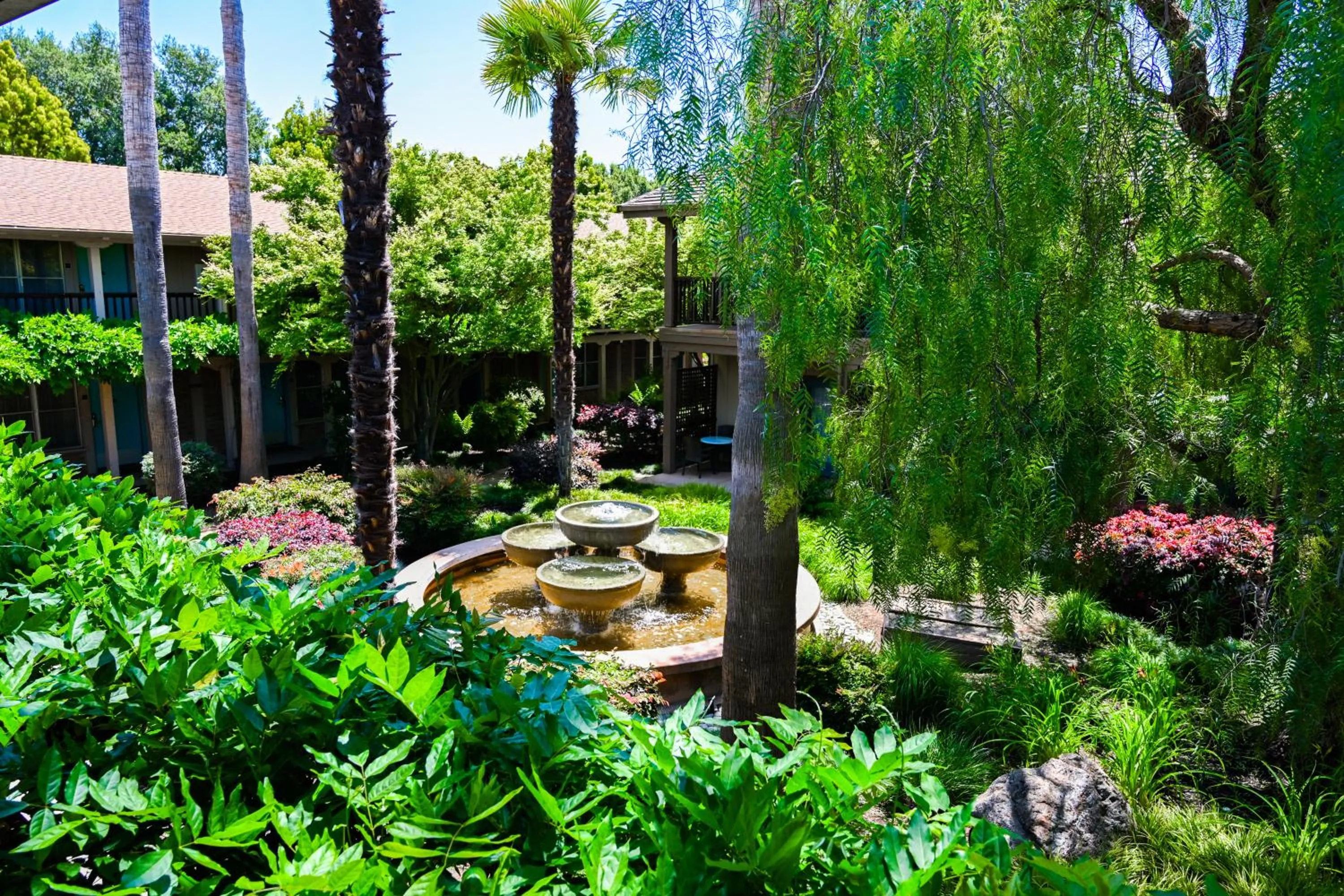 Garden in El Pueblo Inn