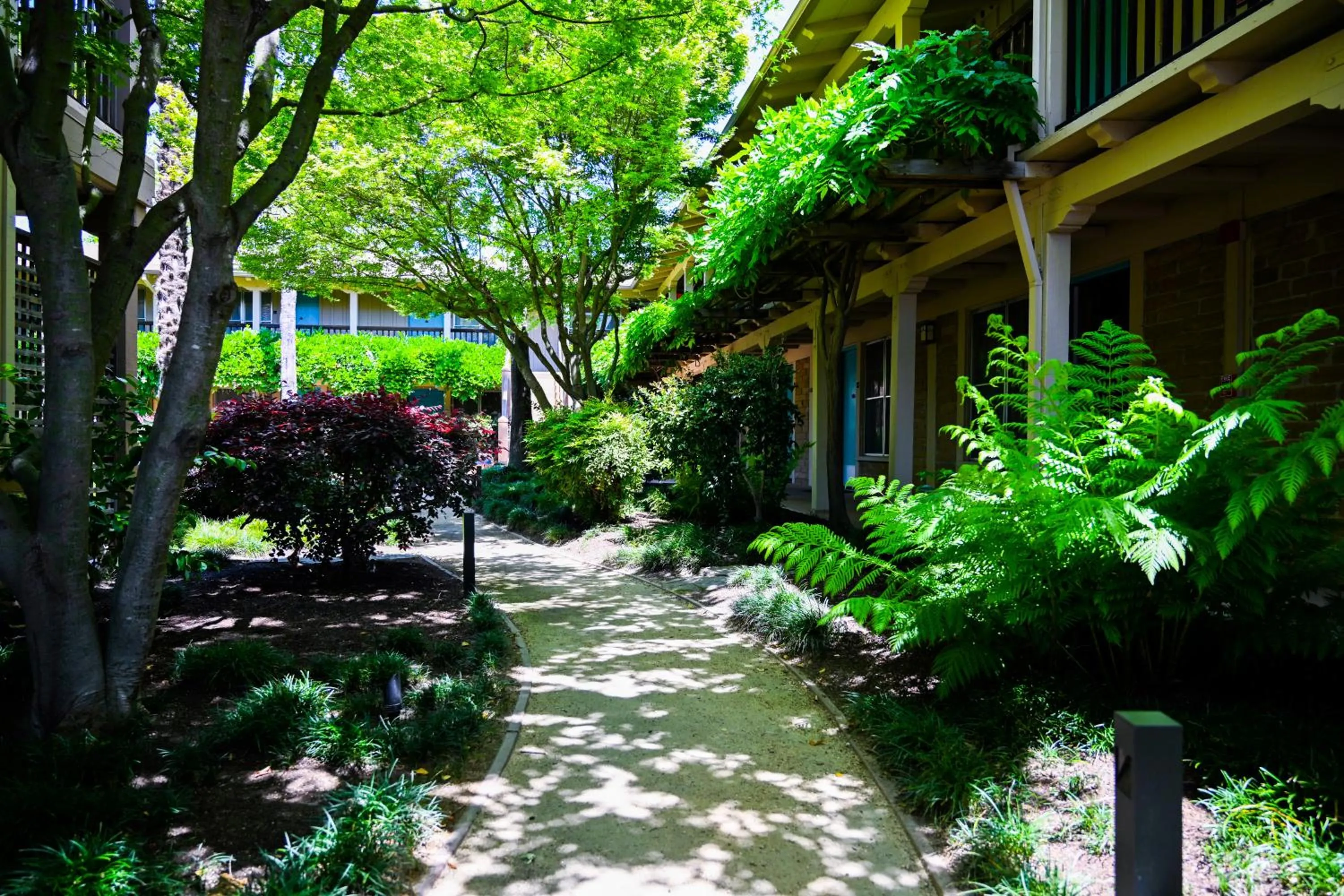 Garden in El Pueblo Inn