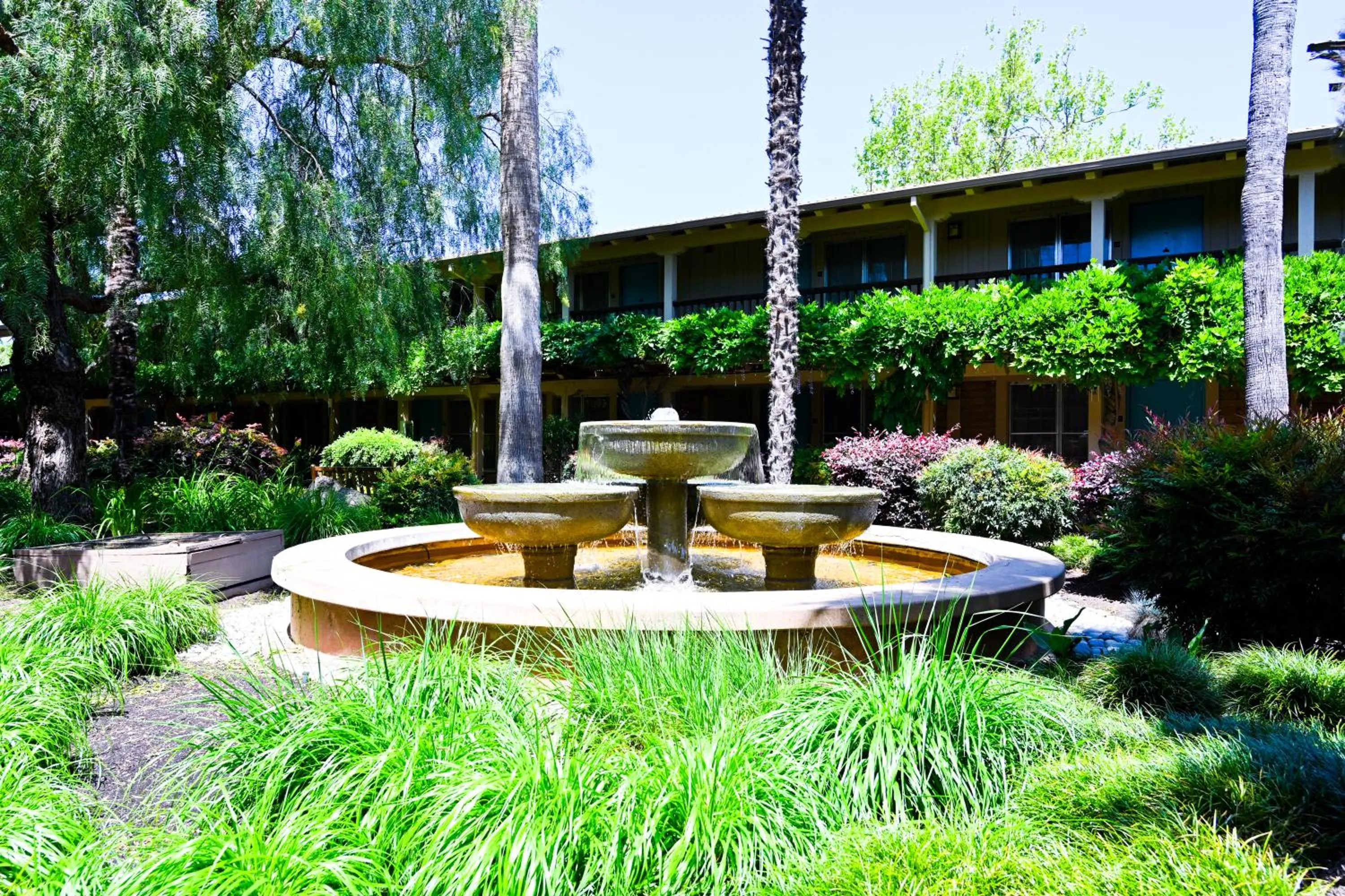 Garden in El Pueblo Inn