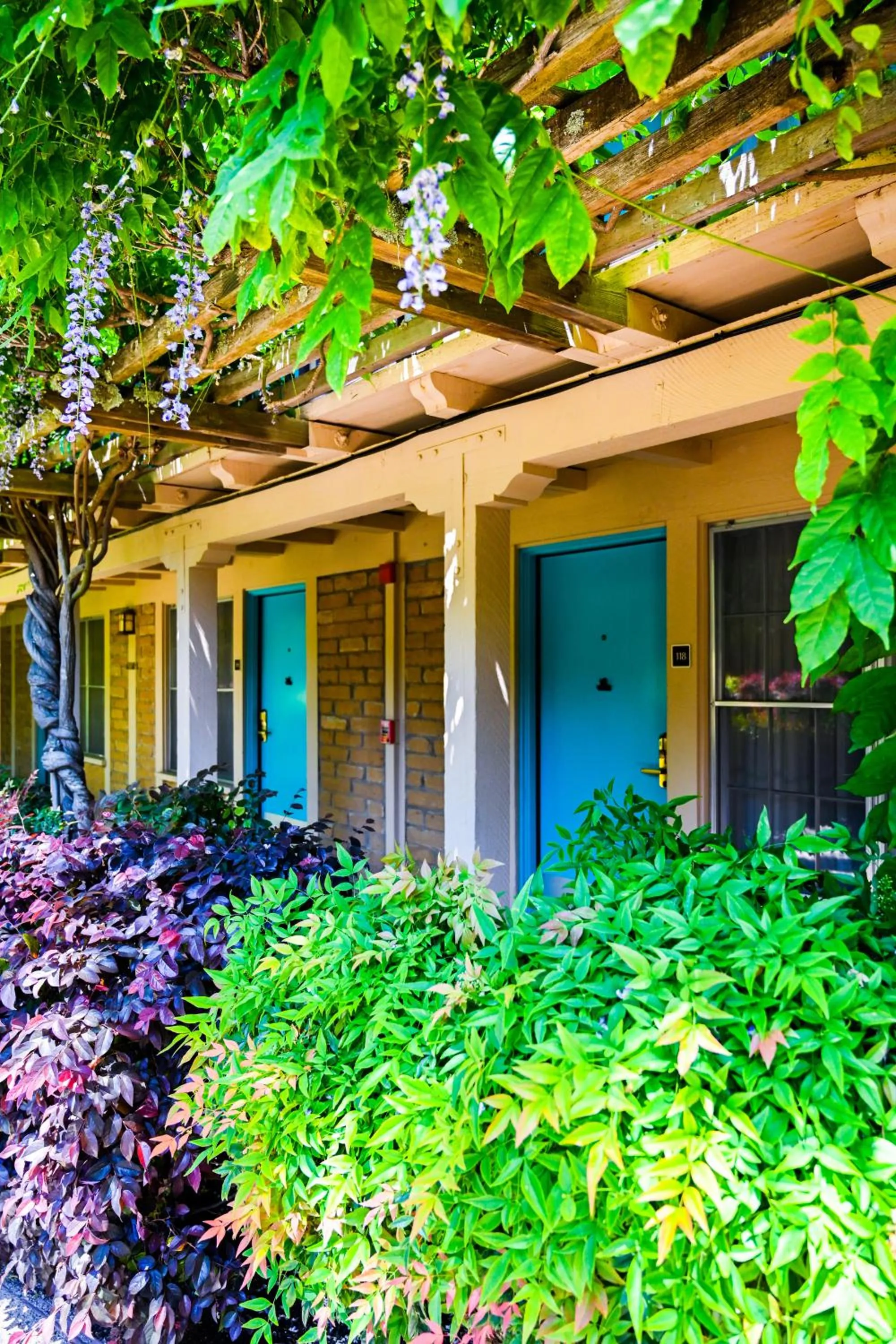 Garden in El Pueblo Inn