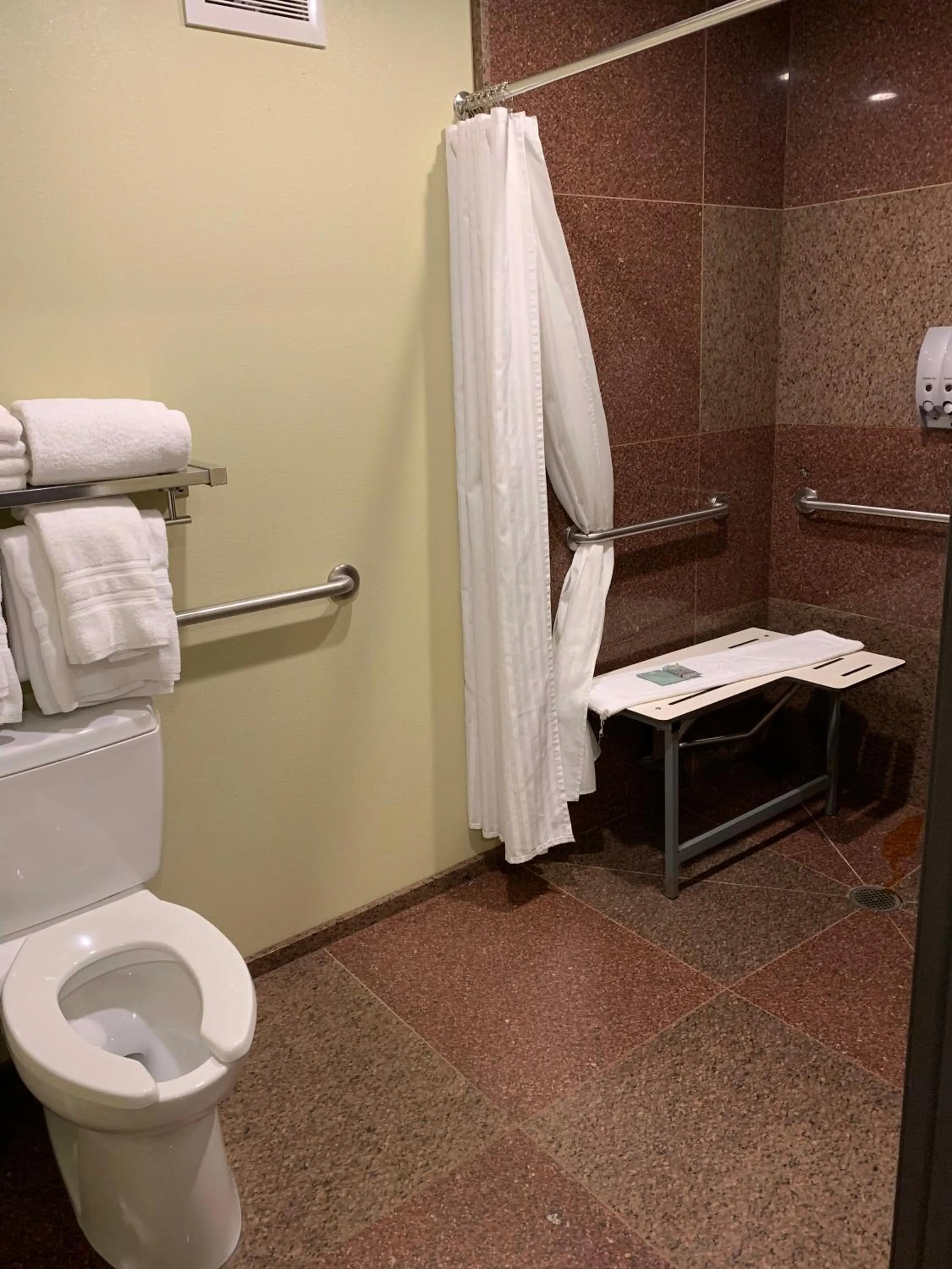 Bathroom in Best Western Snowcap Lodge