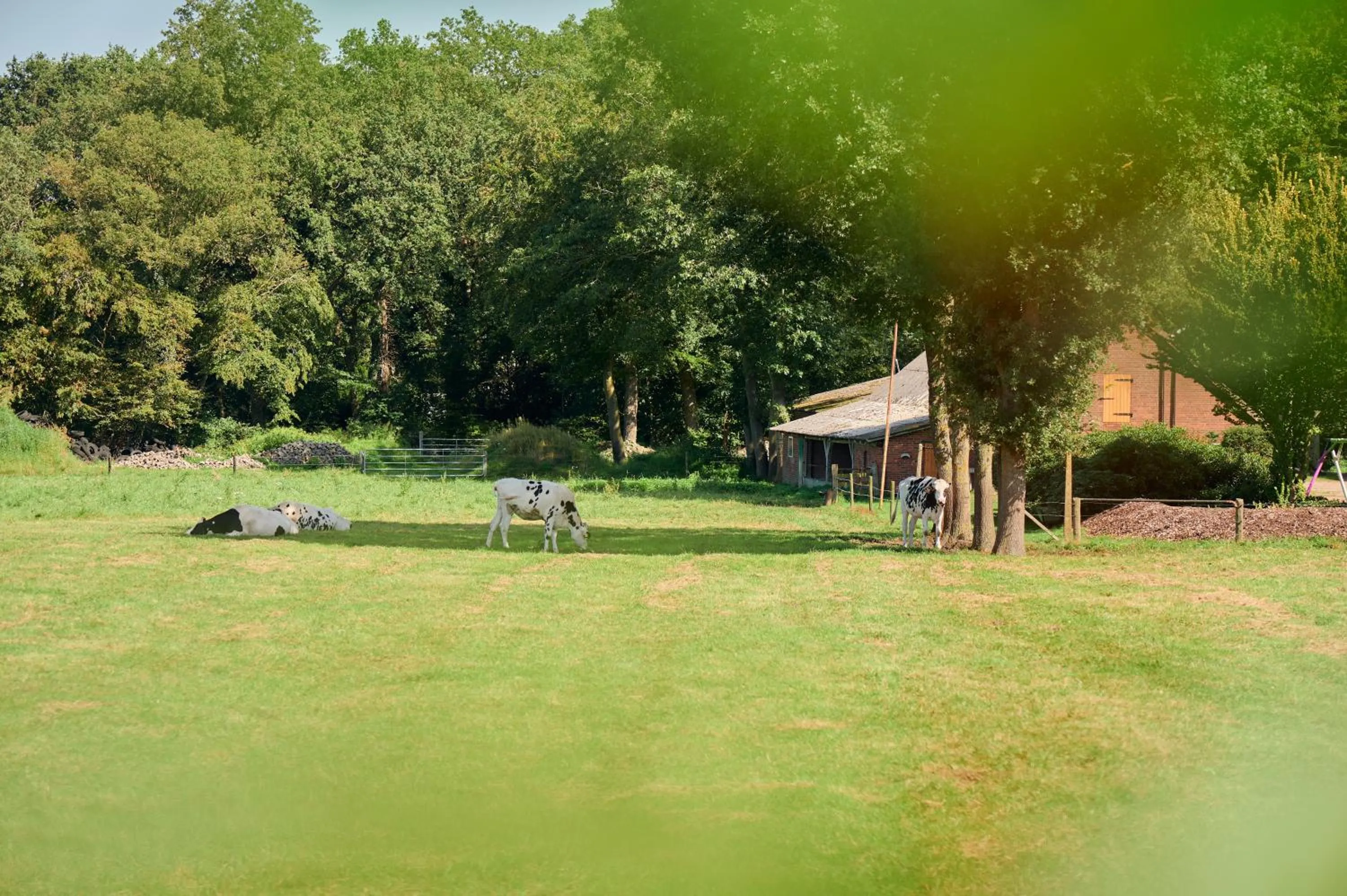 View (from property/room) in Nordenholzer Hofhotel