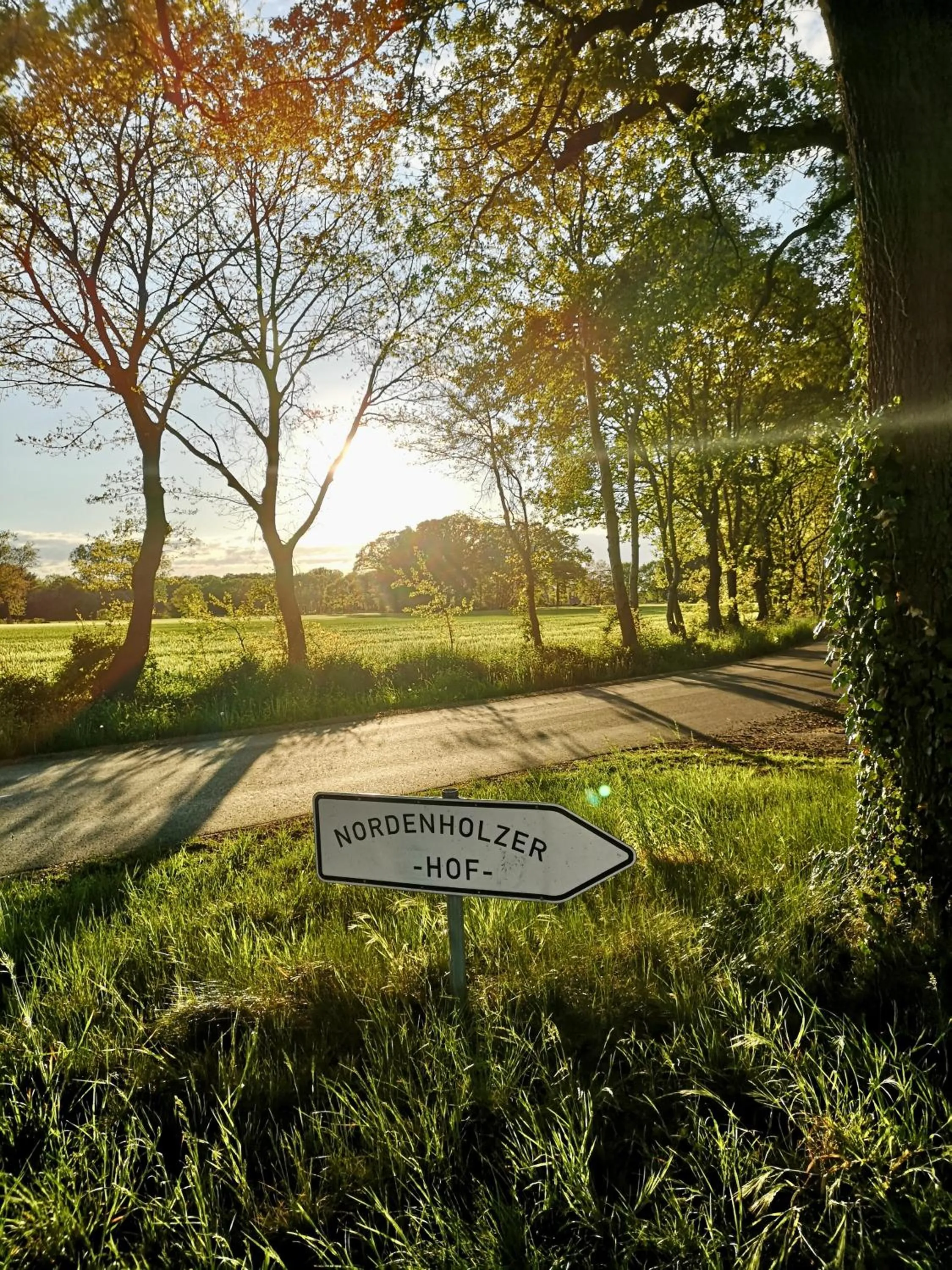 On site in Nordenholzer Hofhotel