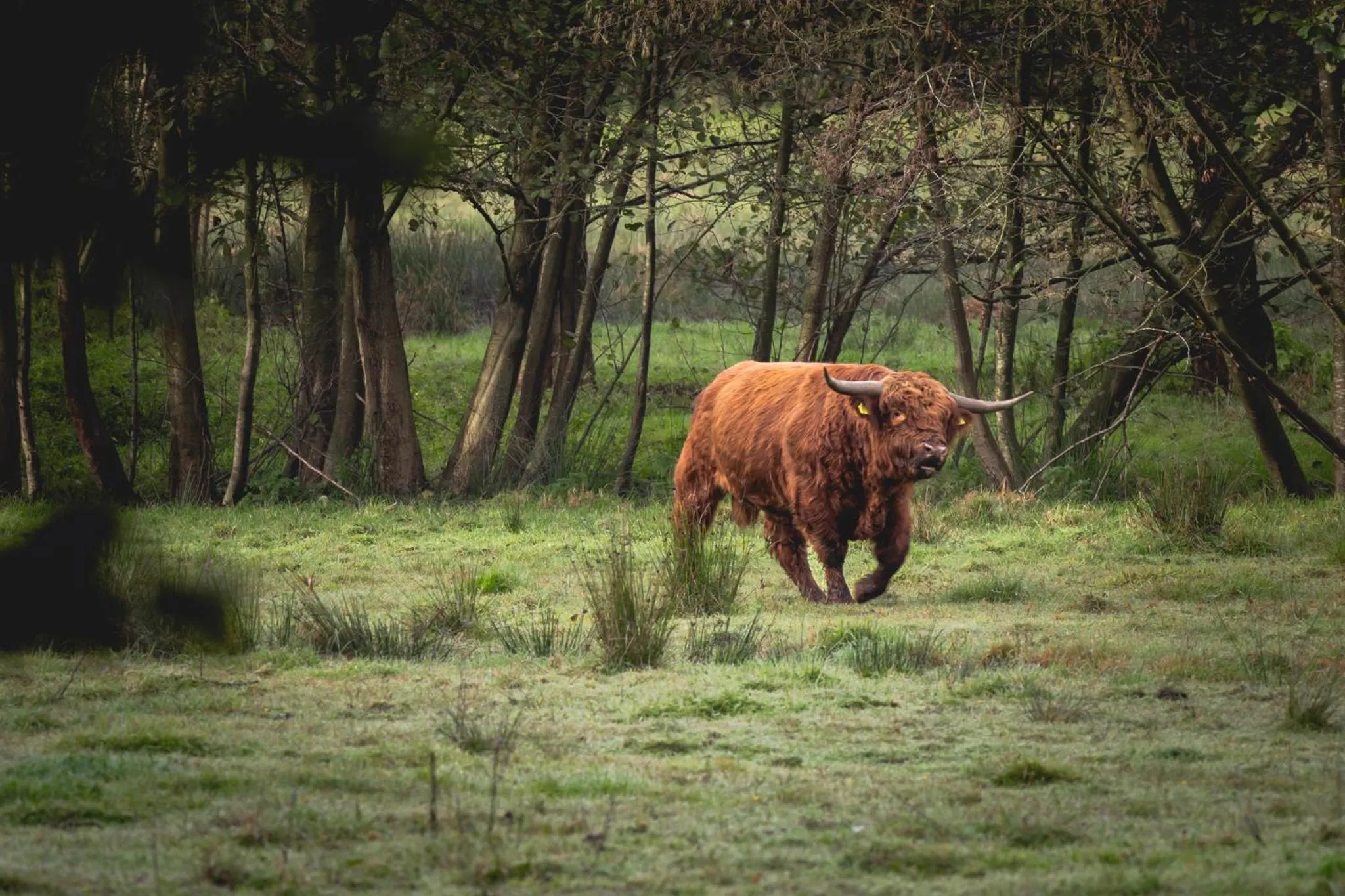 Hiking in Nordenholzer Hofhotel
