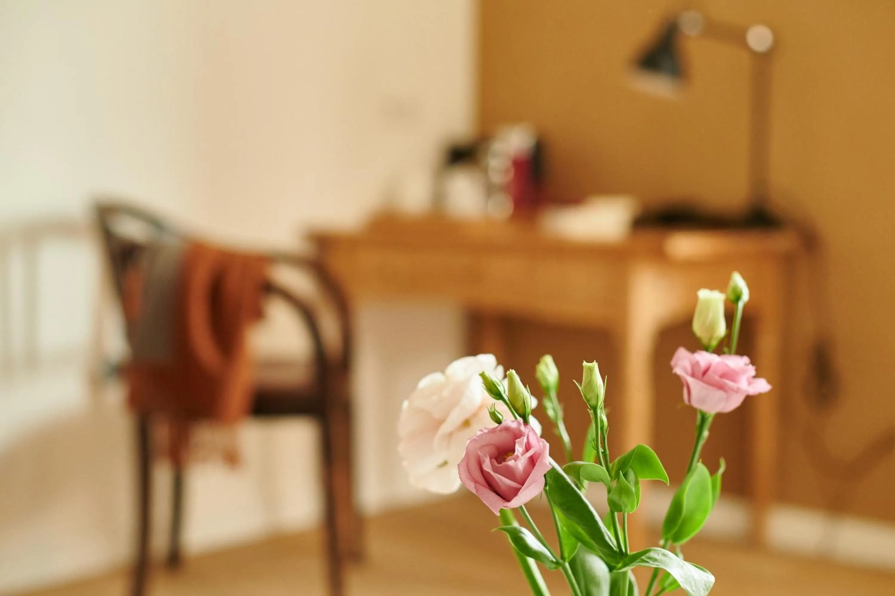 Photo of the whole room in Nordenholzer Hofhotel