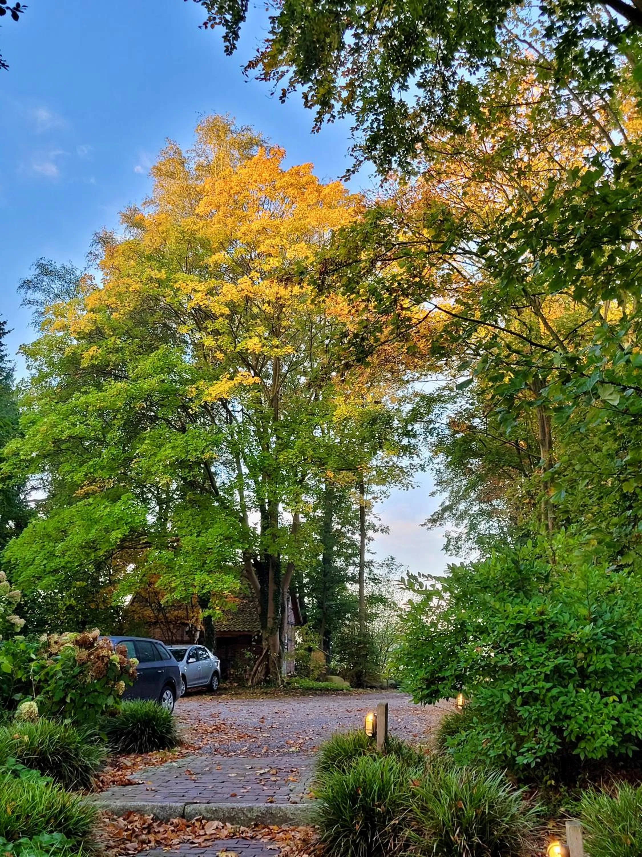 Parking in Nordenholzer Hofhotel