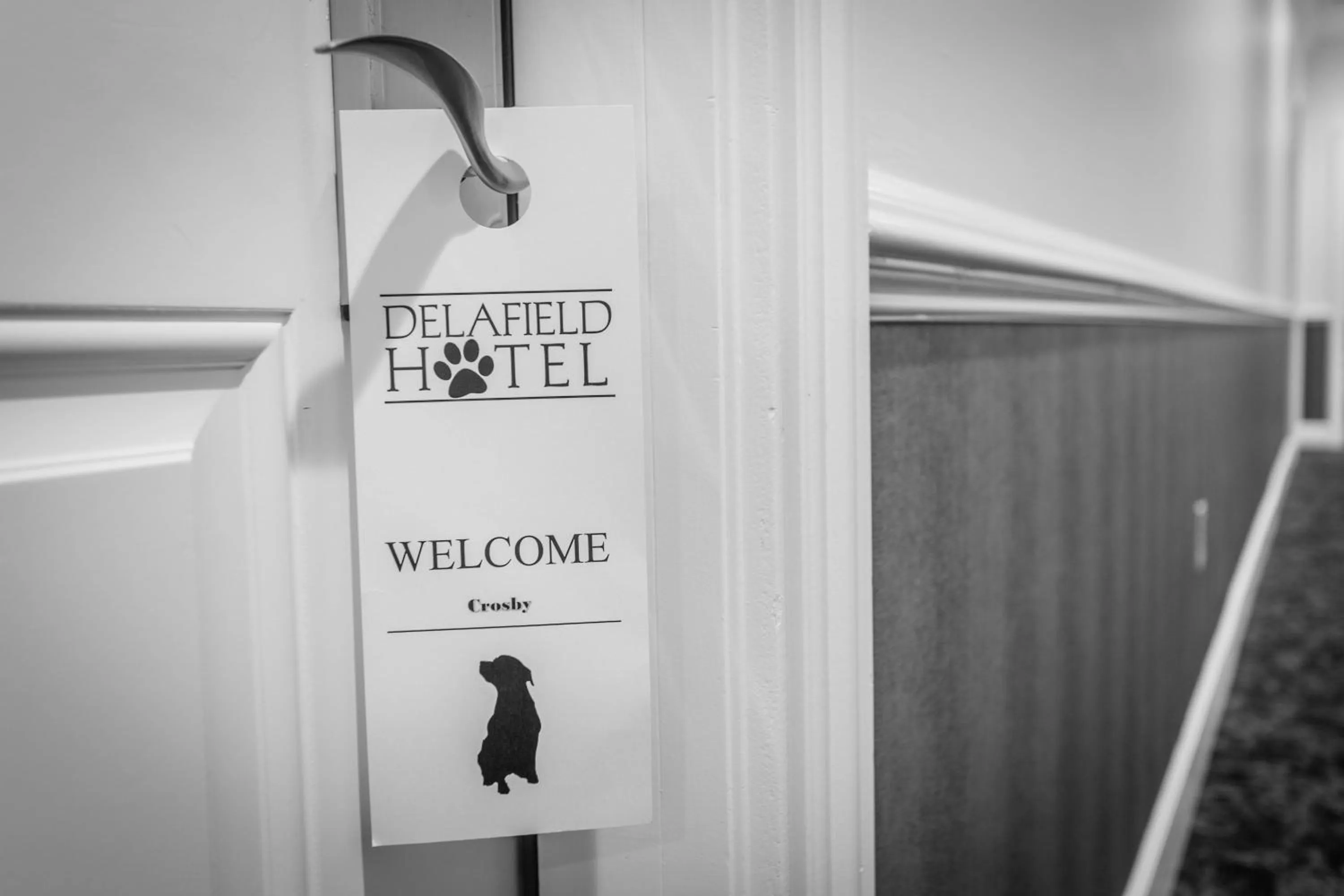 Pets in The Delafield Hotel