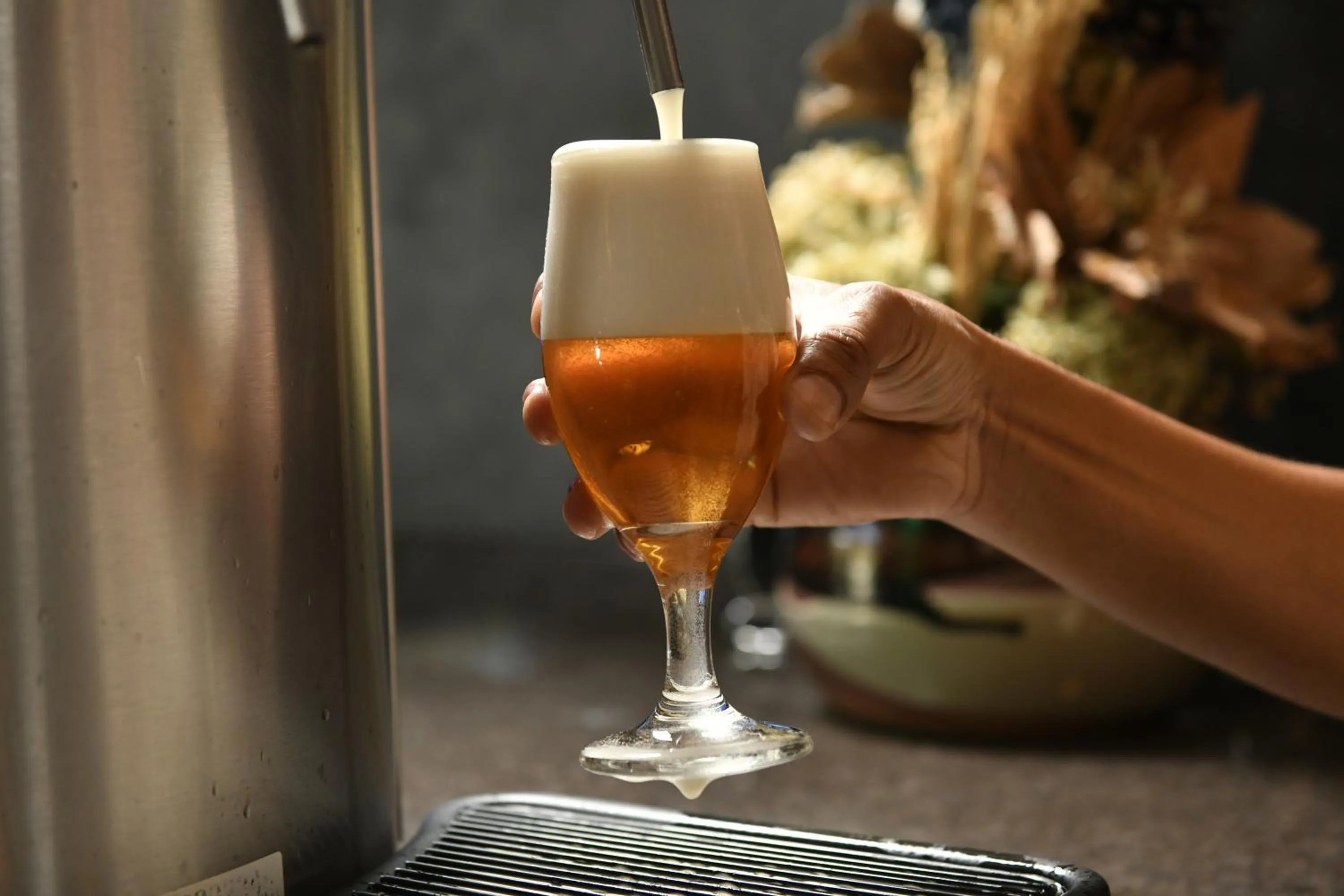 Lounge or bar in Hotel Rainha do Brasil