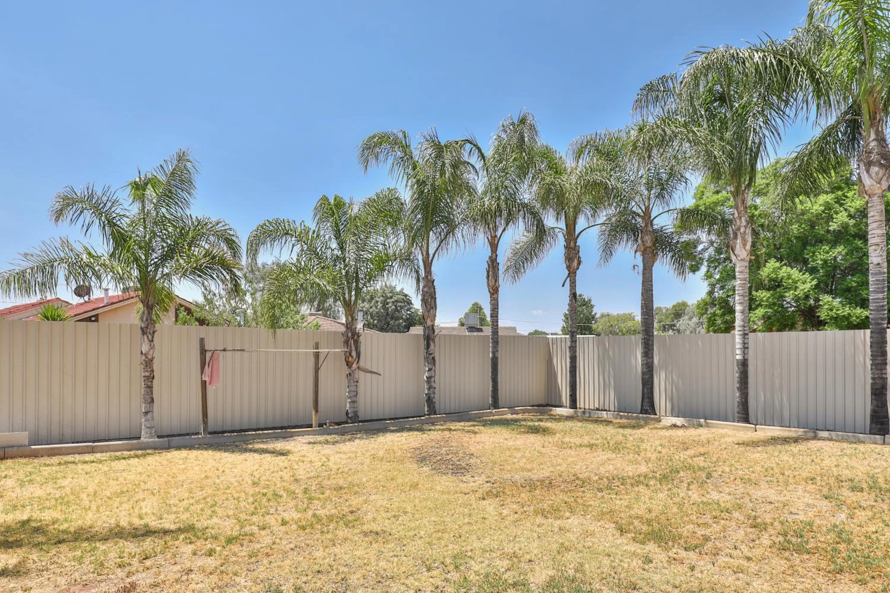 Garden in Cottonwood Motor Inn