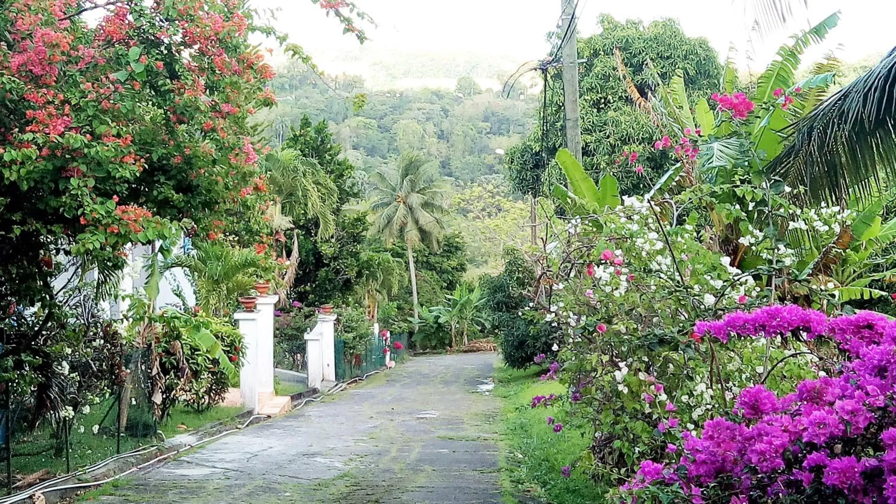 Havre de paix à Fort de France