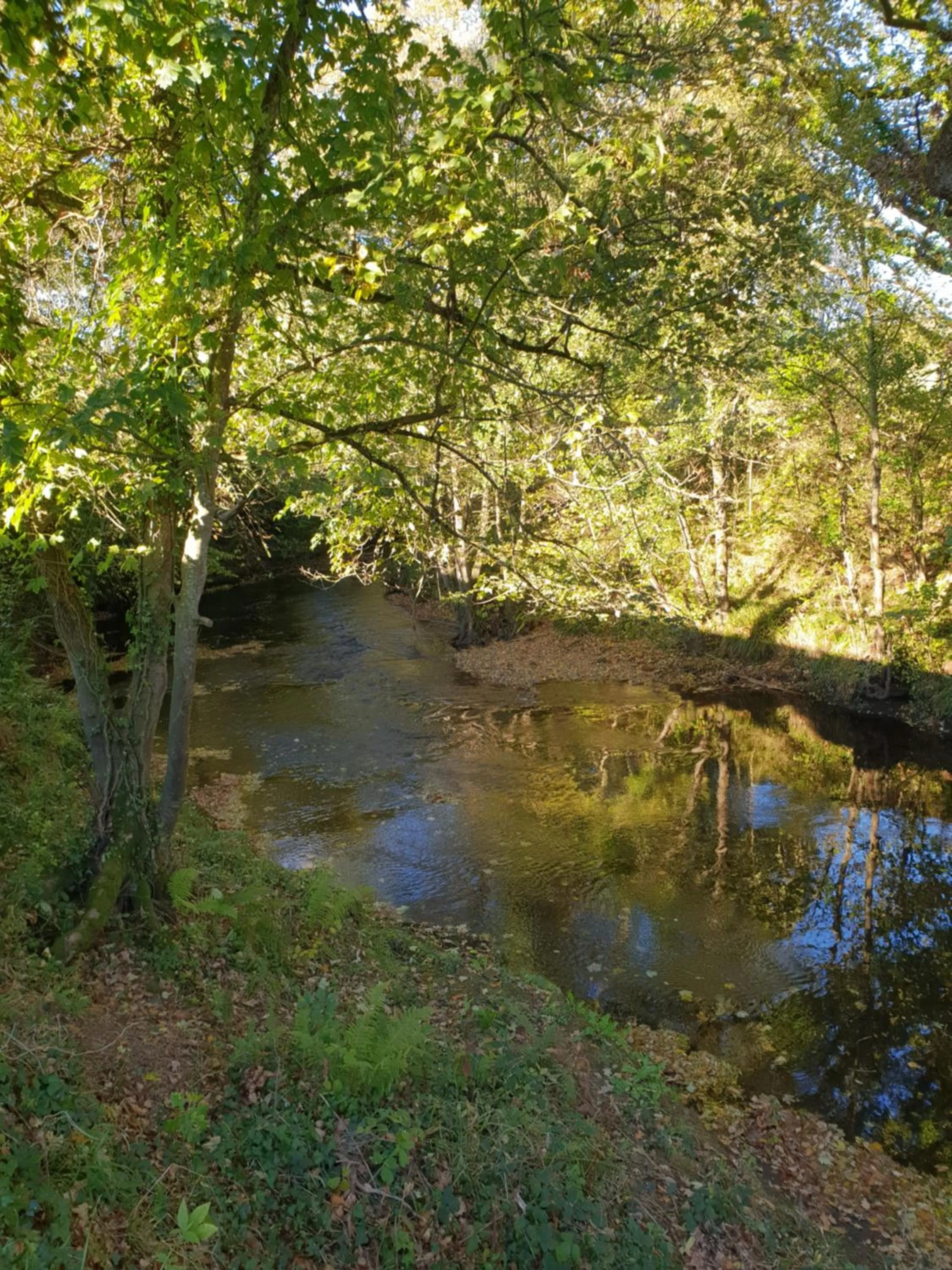 Garden in The Millers Cottage
