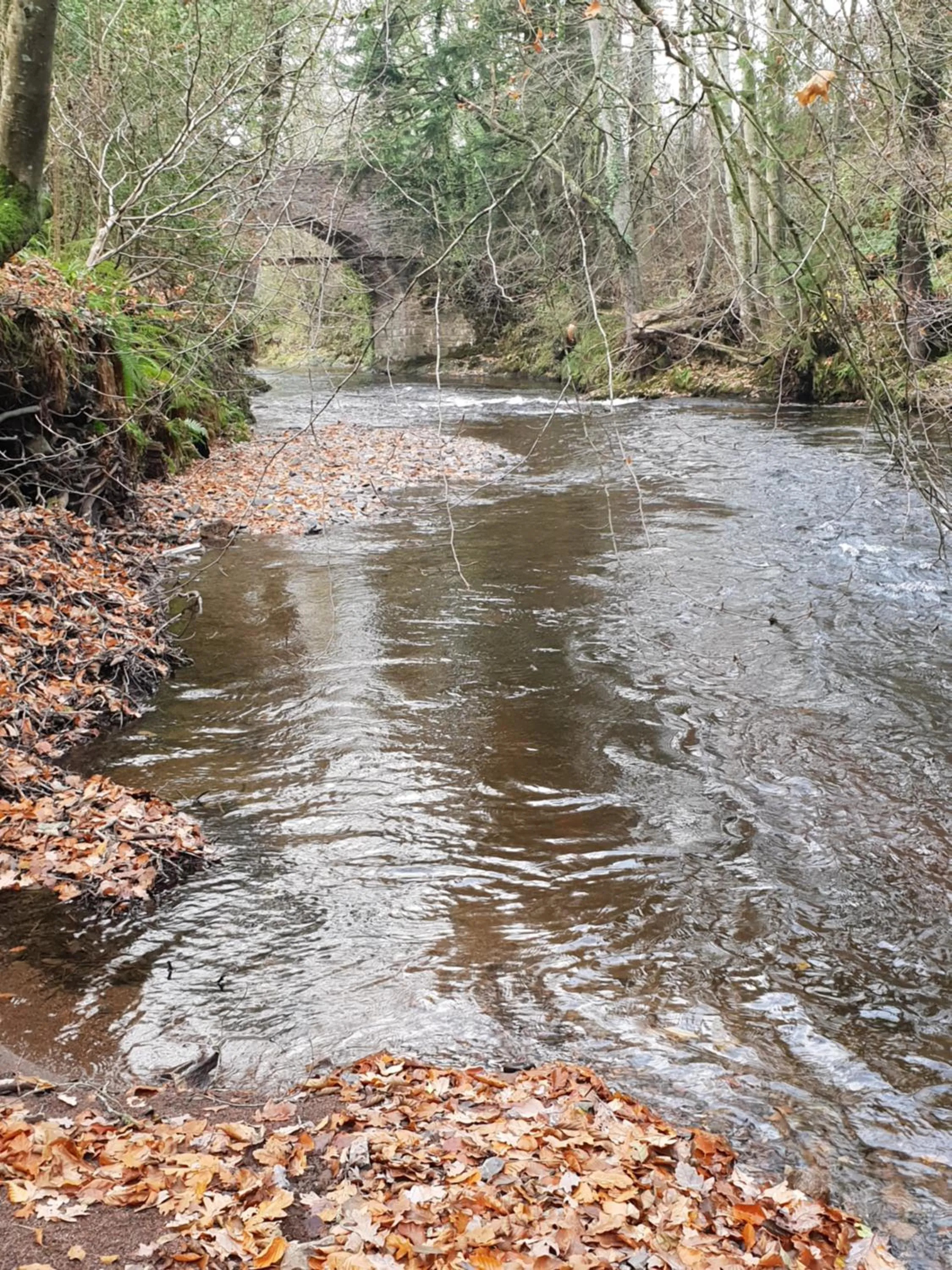 Garden in The Millers Cottage