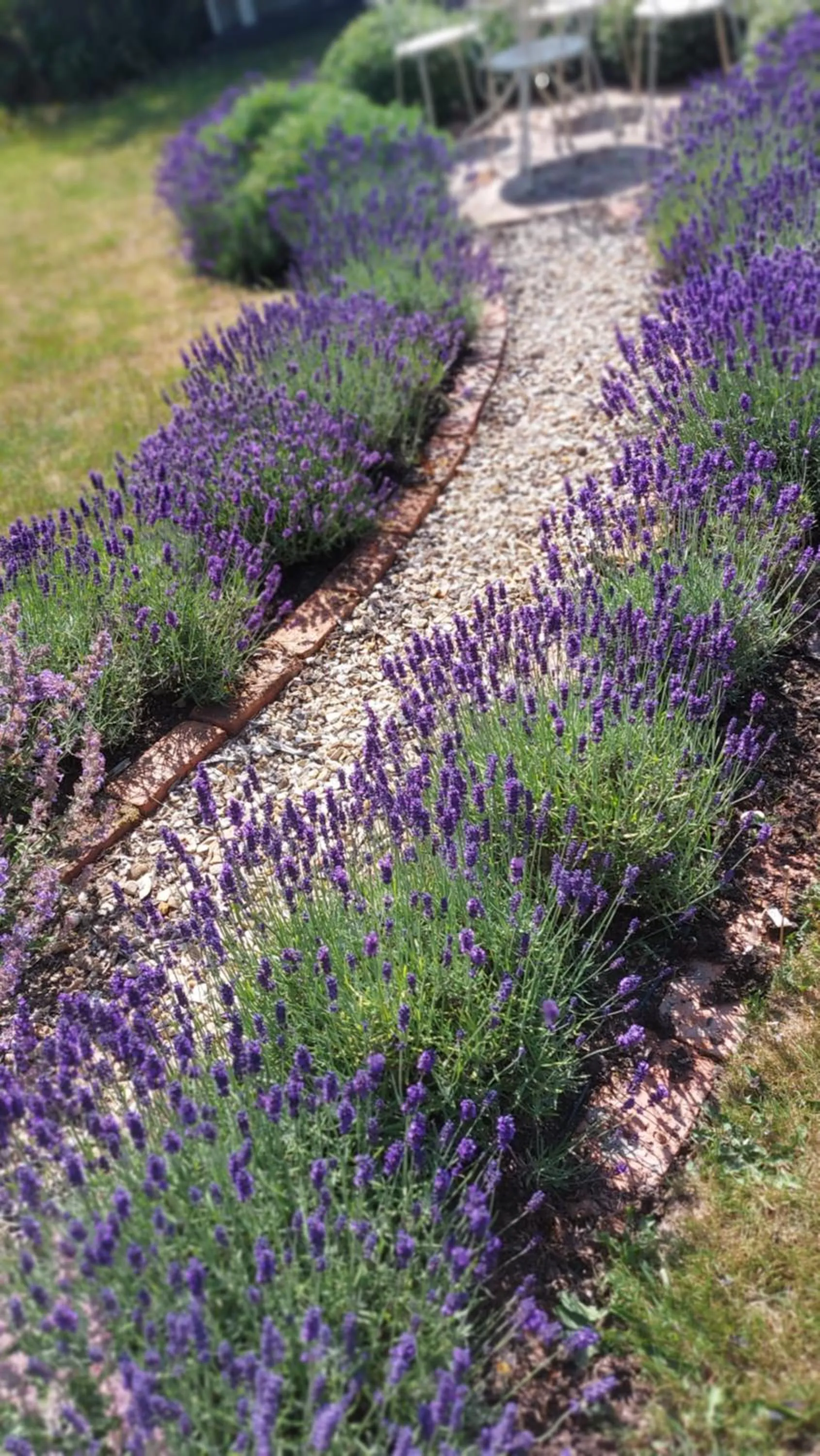 Garden in The Millers Cottage