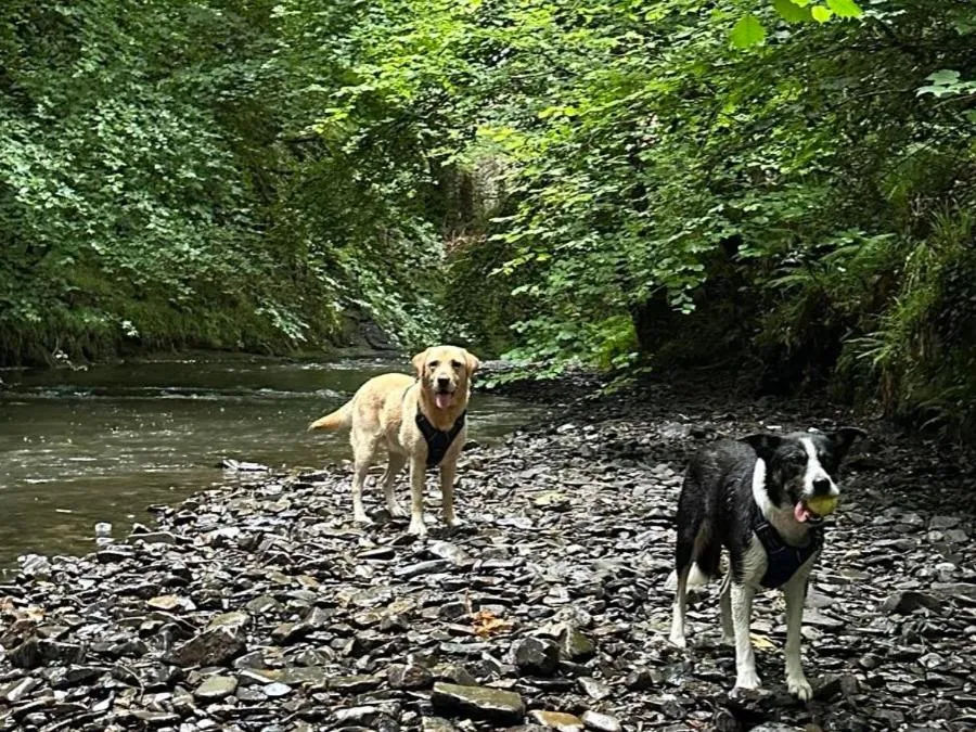 Natural landscape in The Millers Cottage