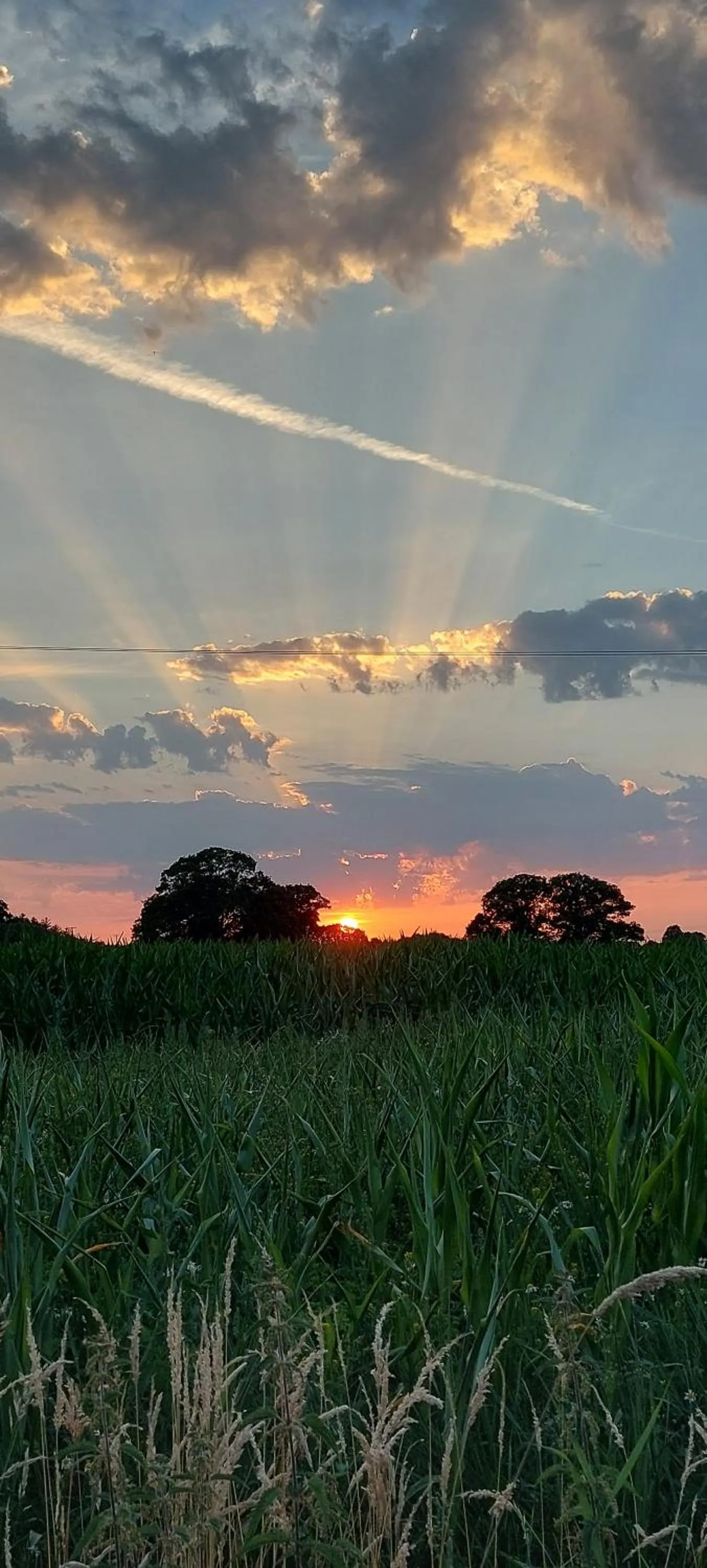 Sunset in The Millers Cottage