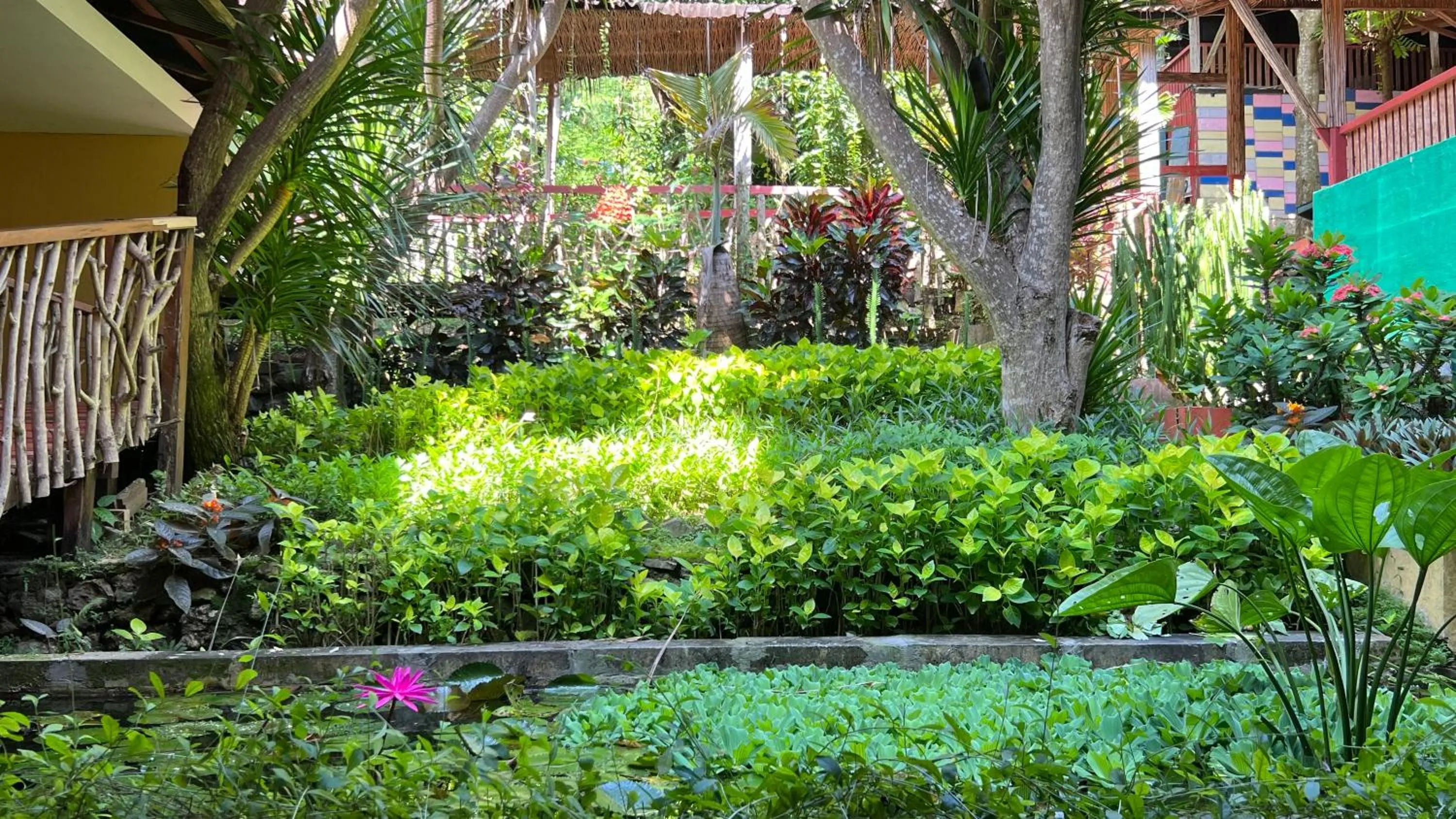 Centro Bajo Hotel & Resto