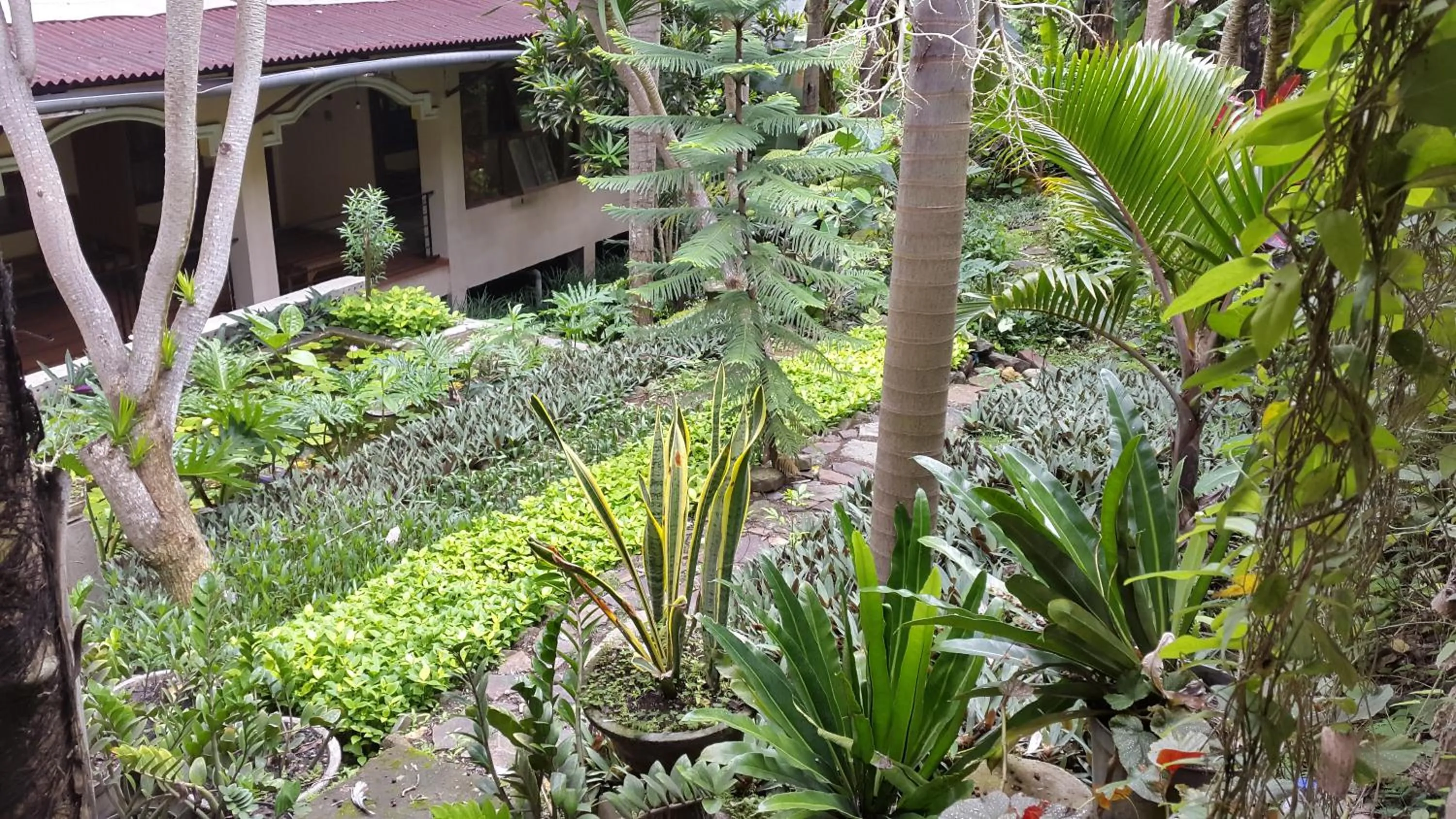 Centro Bajo Hotel & Resto