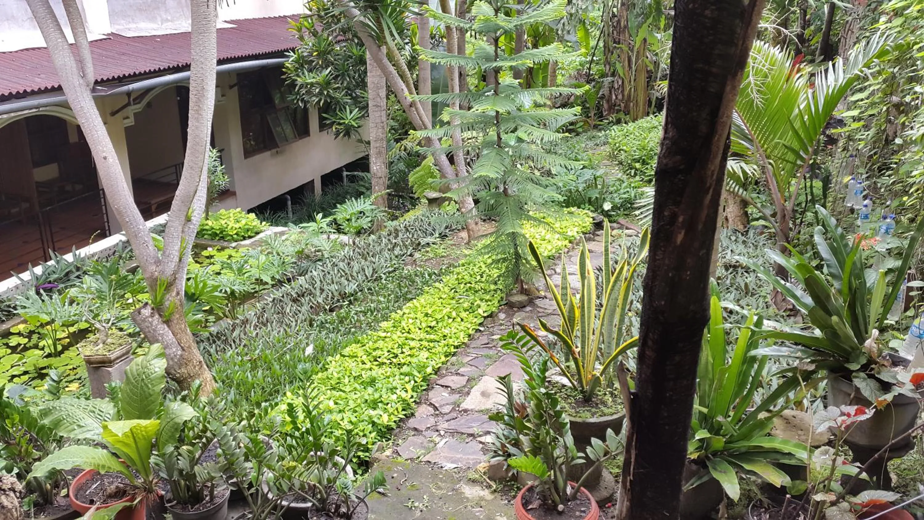 Centro Bajo Hotel & Resto