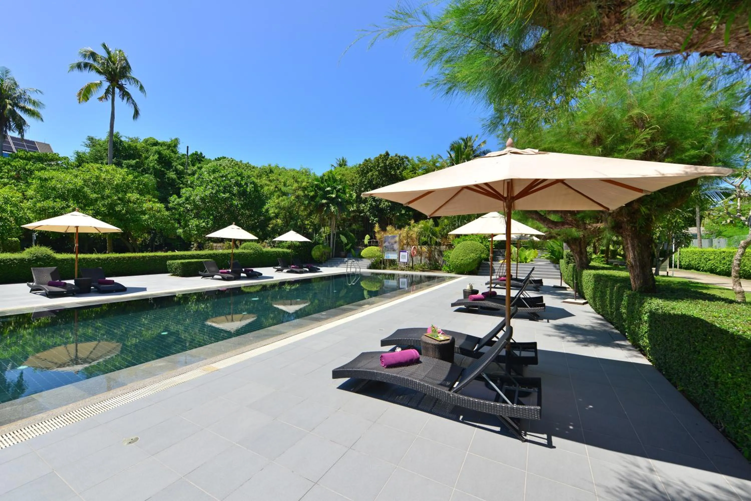 Swimming pool in Twin Lotus Resort and Spa - SHA Plus - Adult Only "November - April"