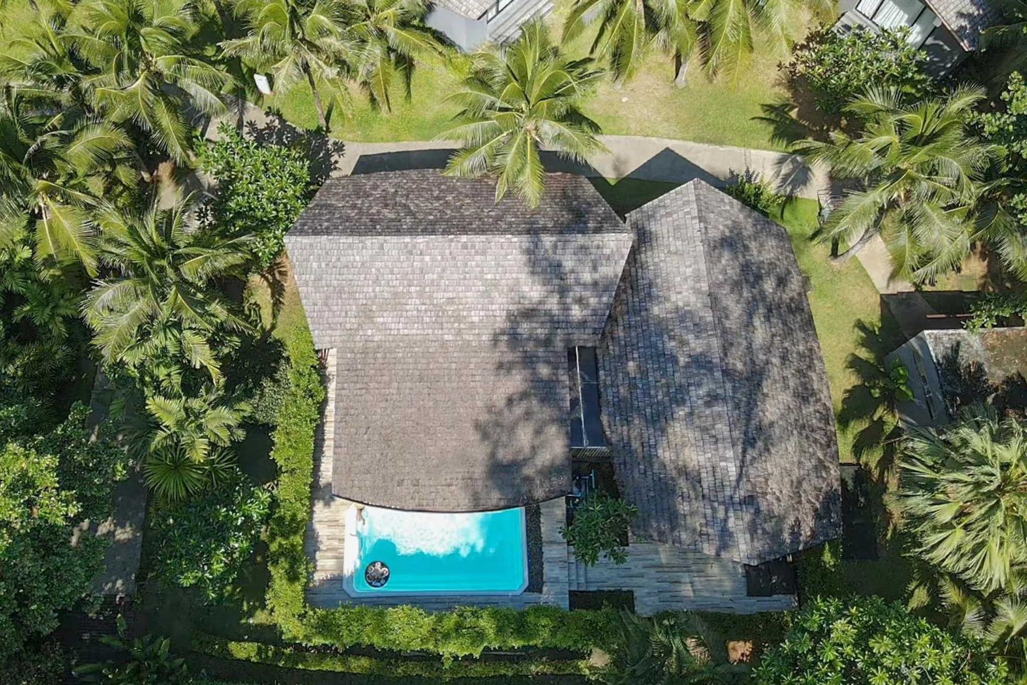 Pool view in Twin Lotus Resort and Spa - SHA Plus - Adult Only "November - April"