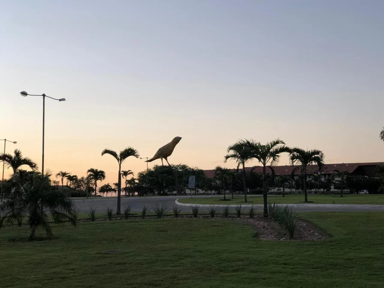 Garden in HOTEL CANARIUS DE GRAVATA - Flat
