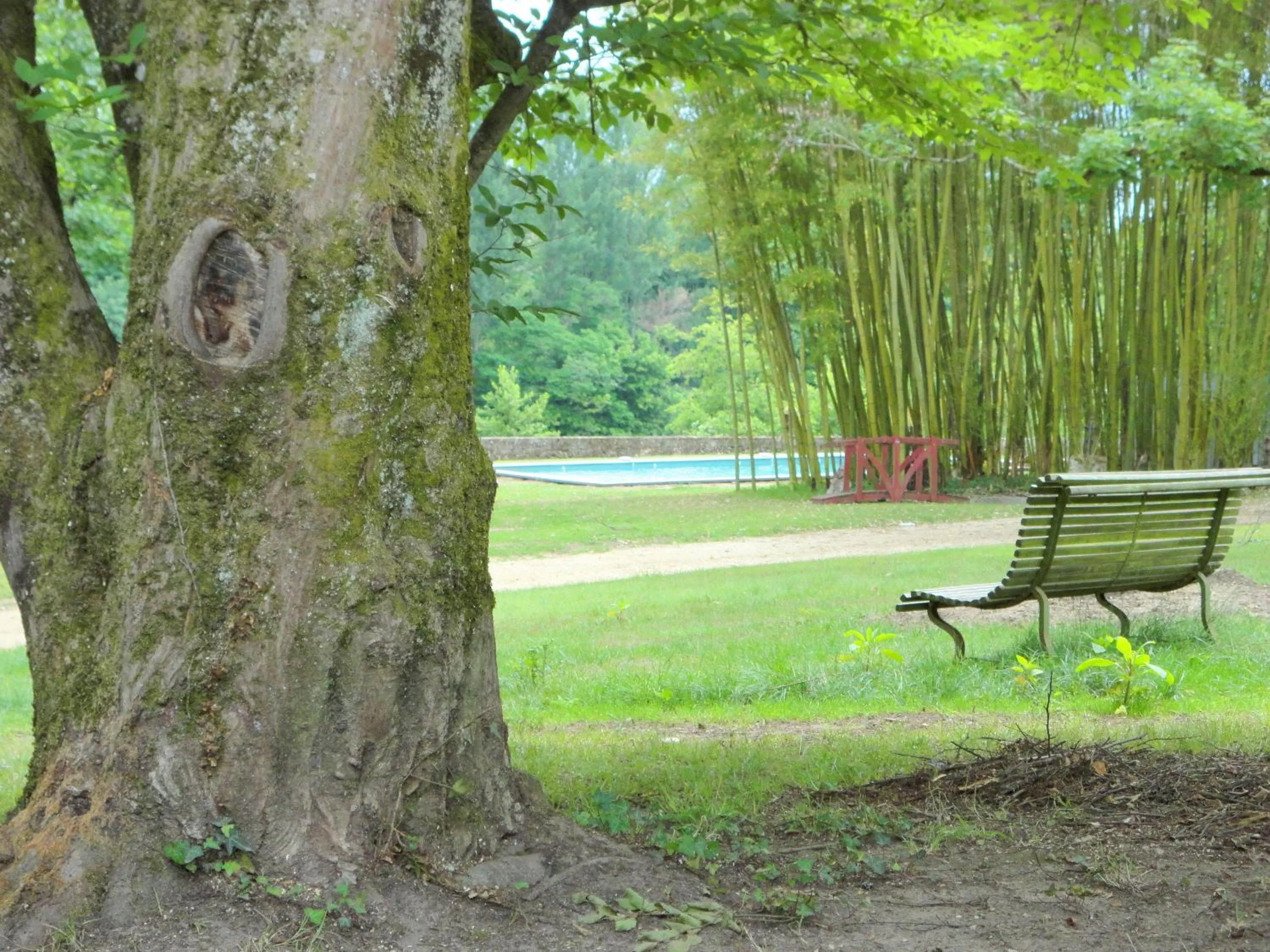 Garden in La Rebière d'Or, B&B et Gîte