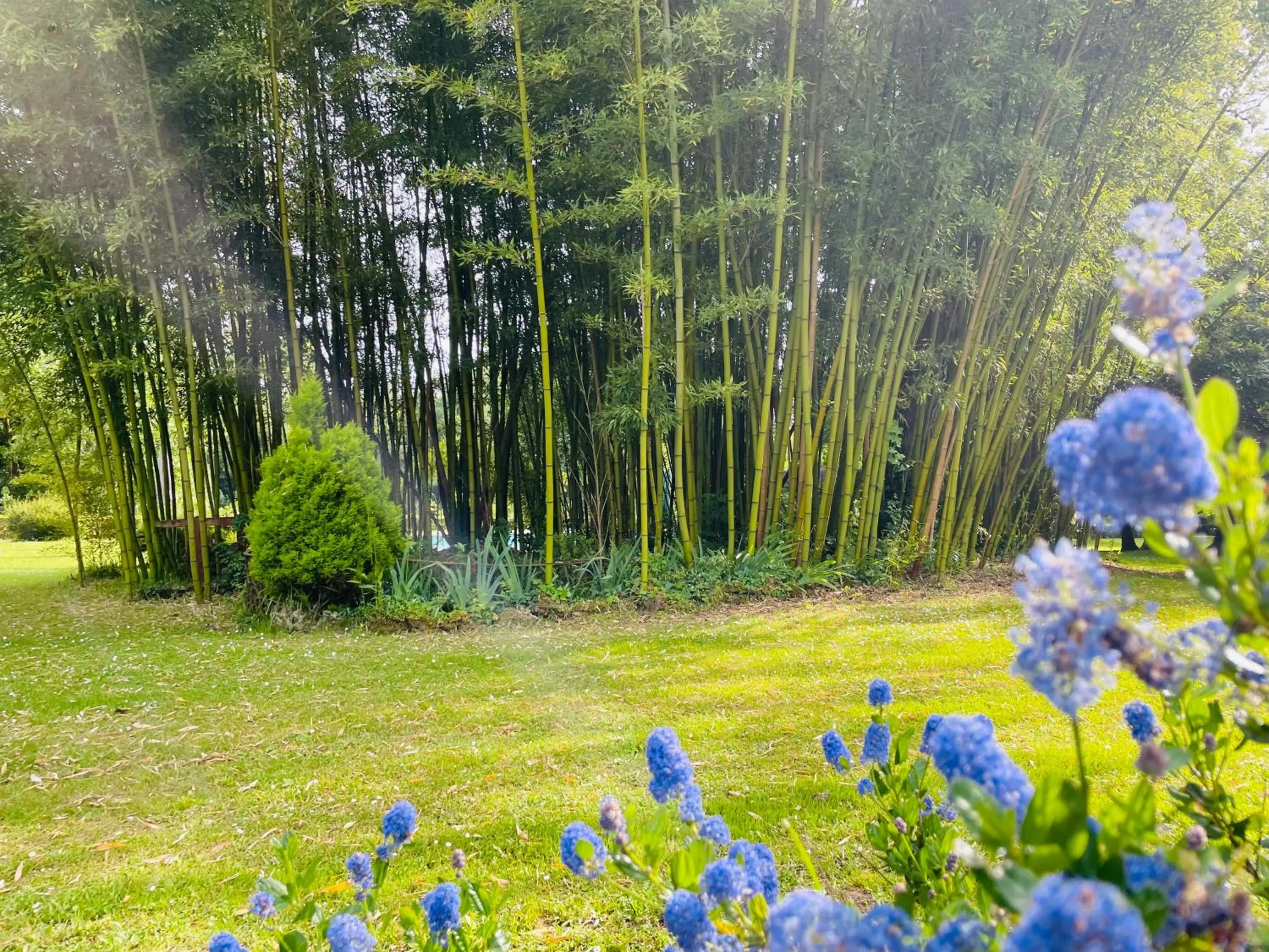 Natural landscape in La Rebière d'Or, B&B et Gîte
