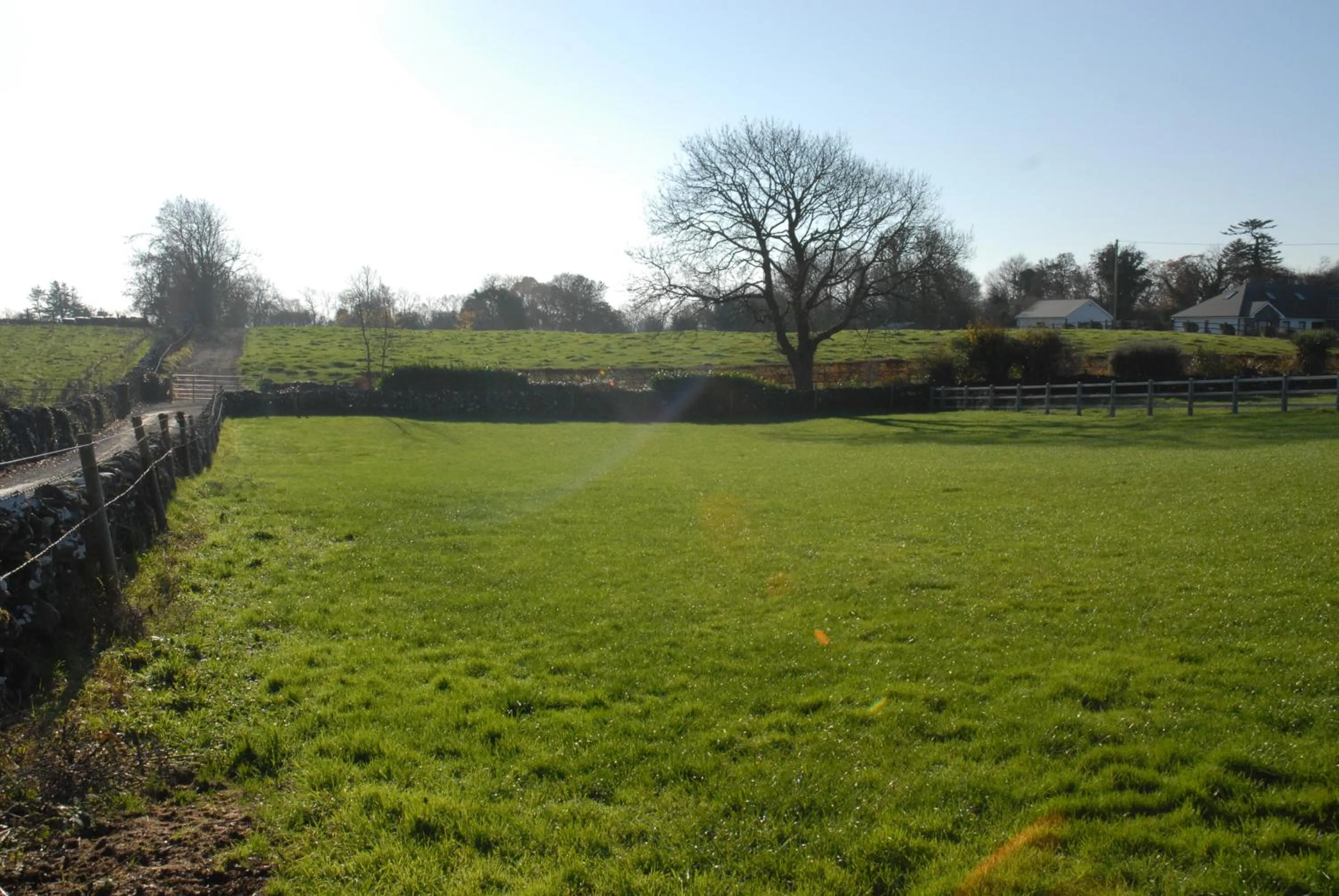 Garden view in Leroy´s Lodge