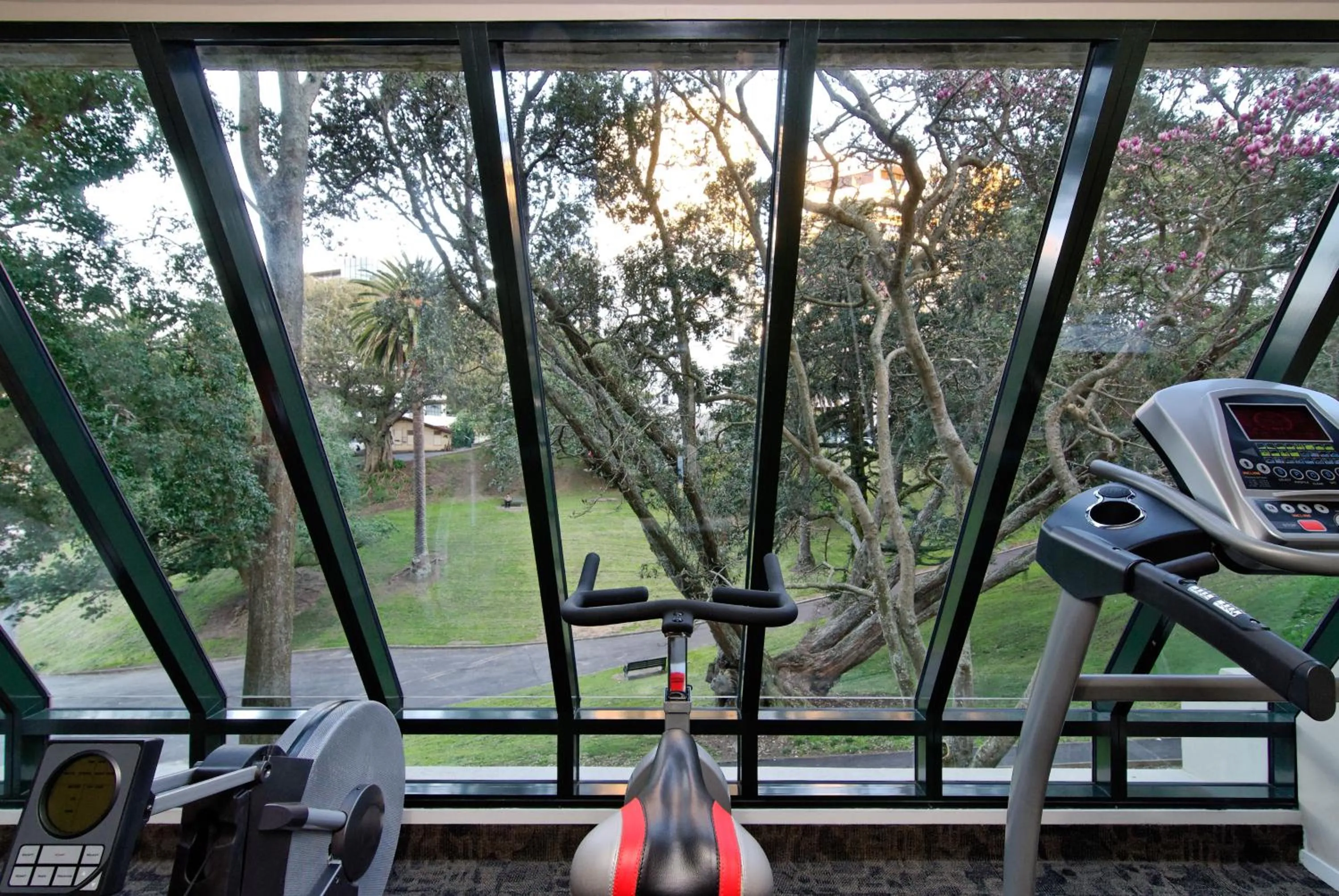 Fitness centre/facilities in Parkside Hotel & Apartments