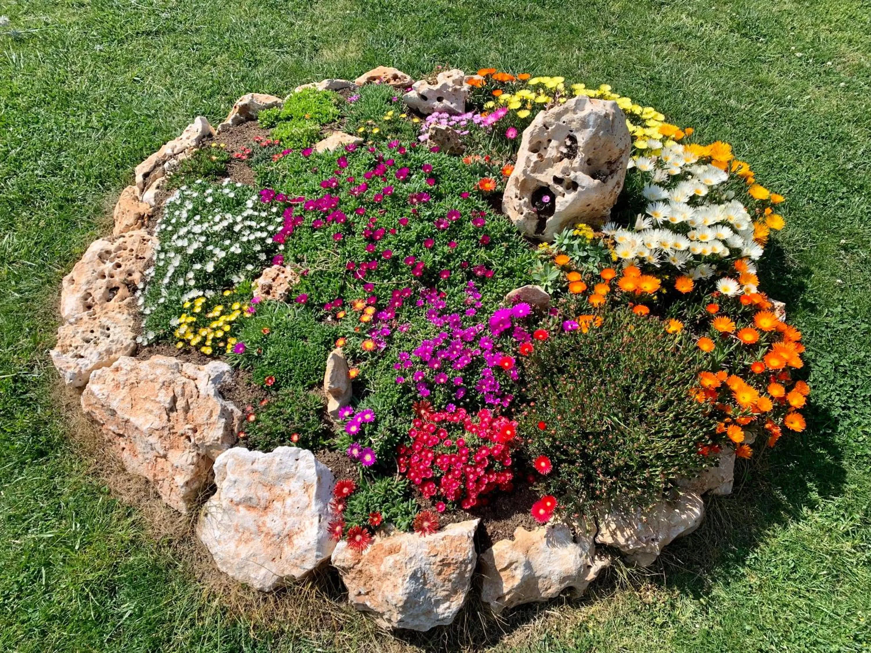 Garden in B&B La Casa Del Sole