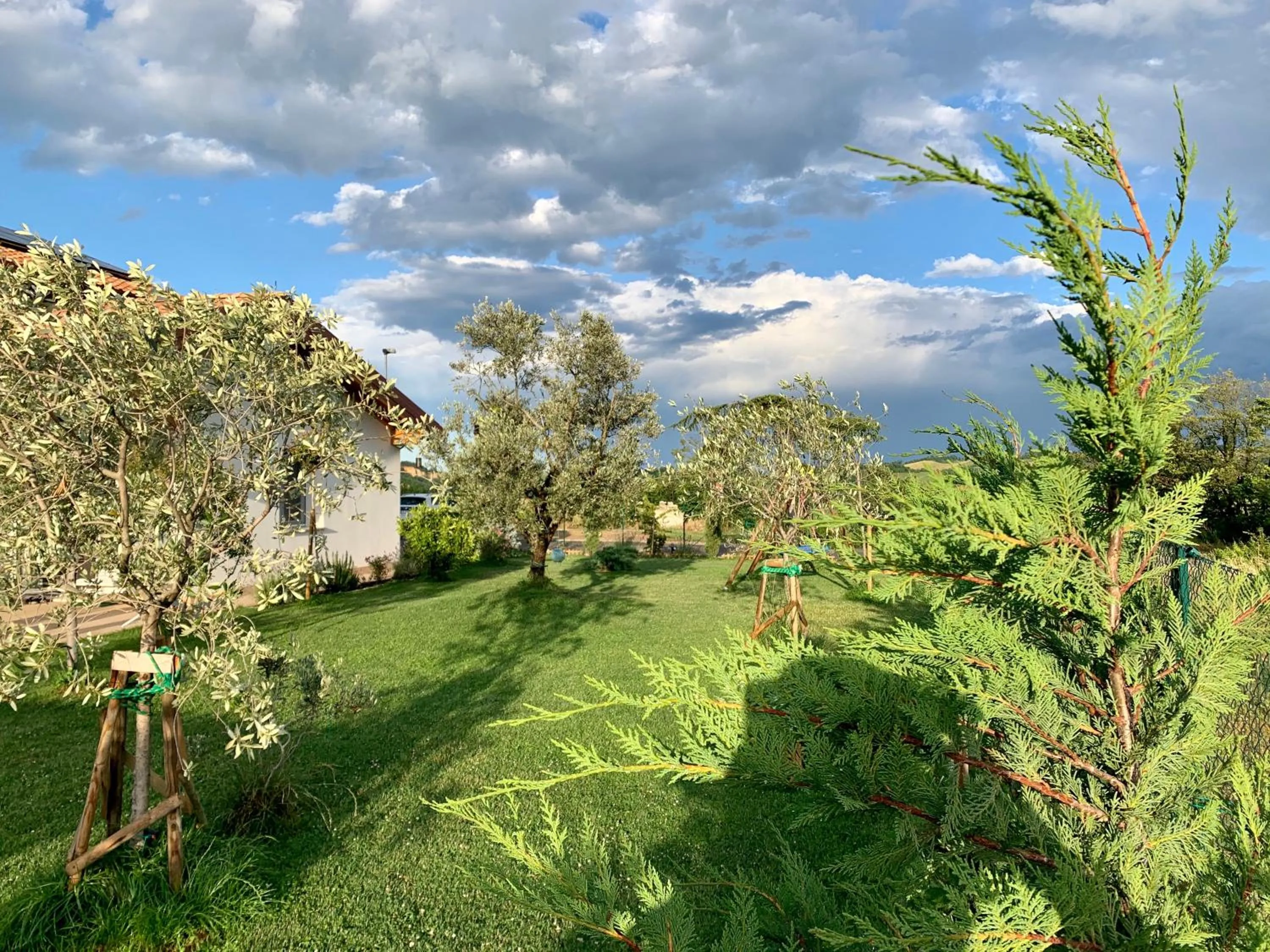 Garden in B&B La Casa Del Sole