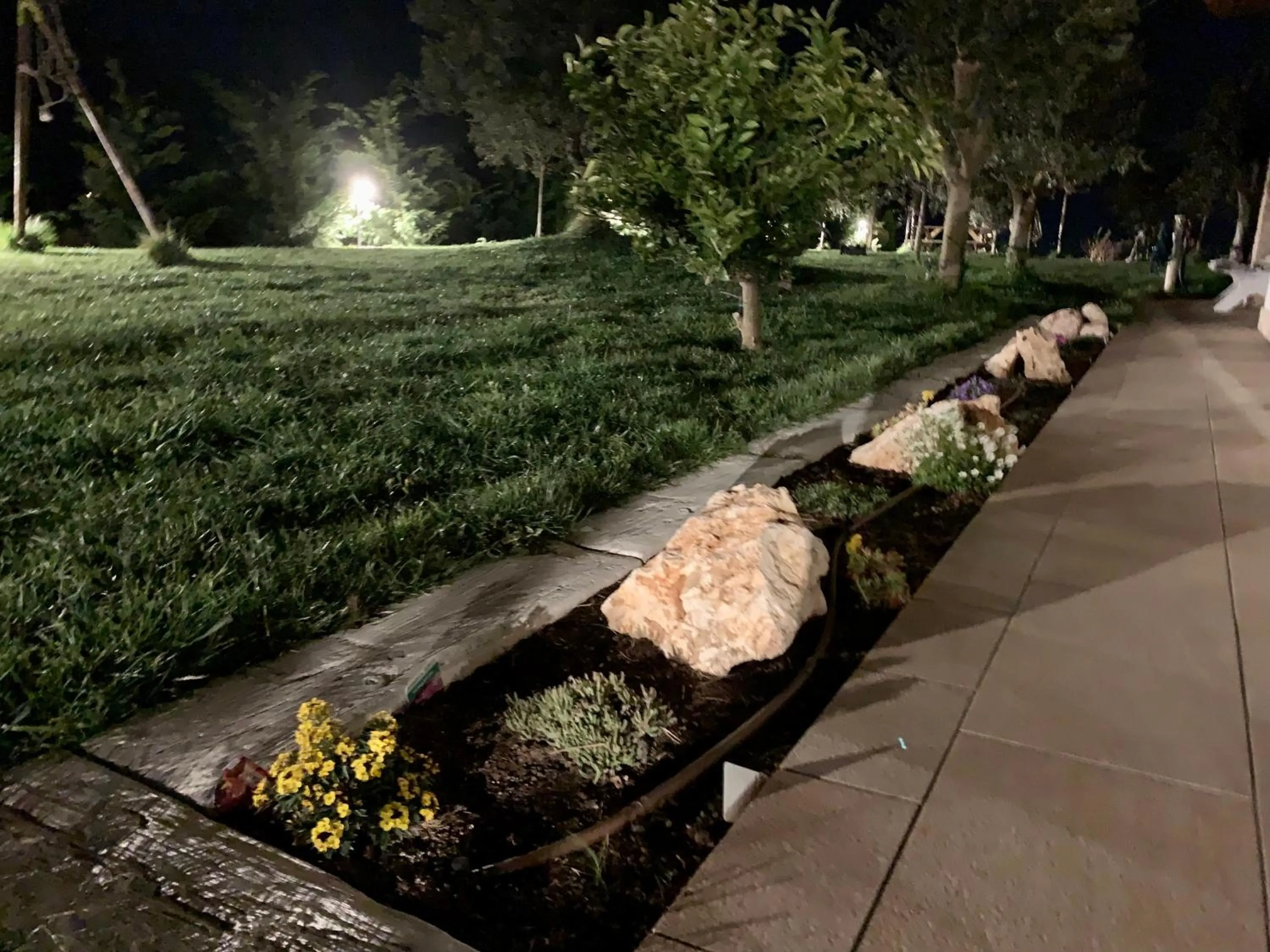 Garden in B&B La Casa Del Sole