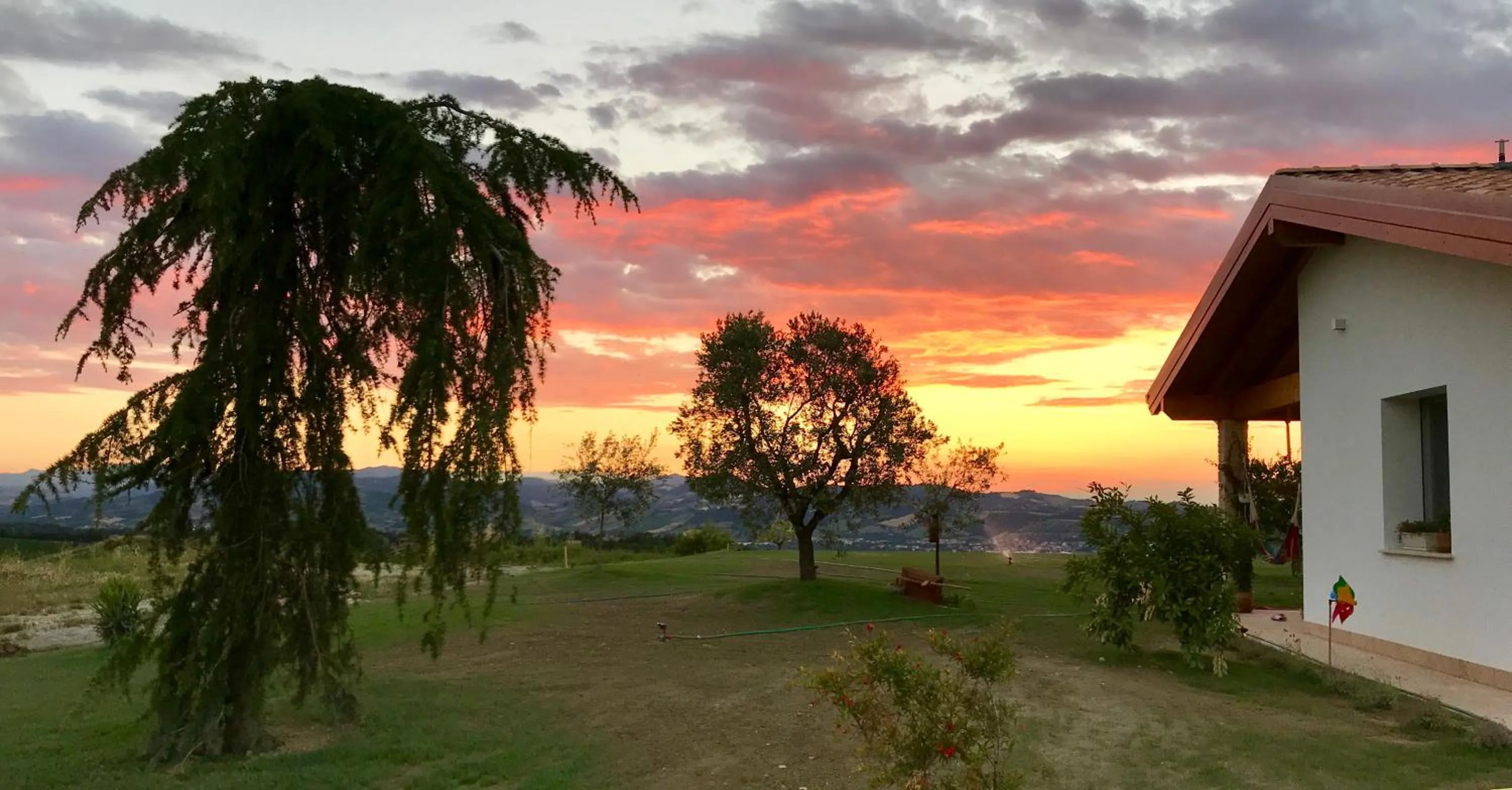Garden in B&B La Casa Del Sole