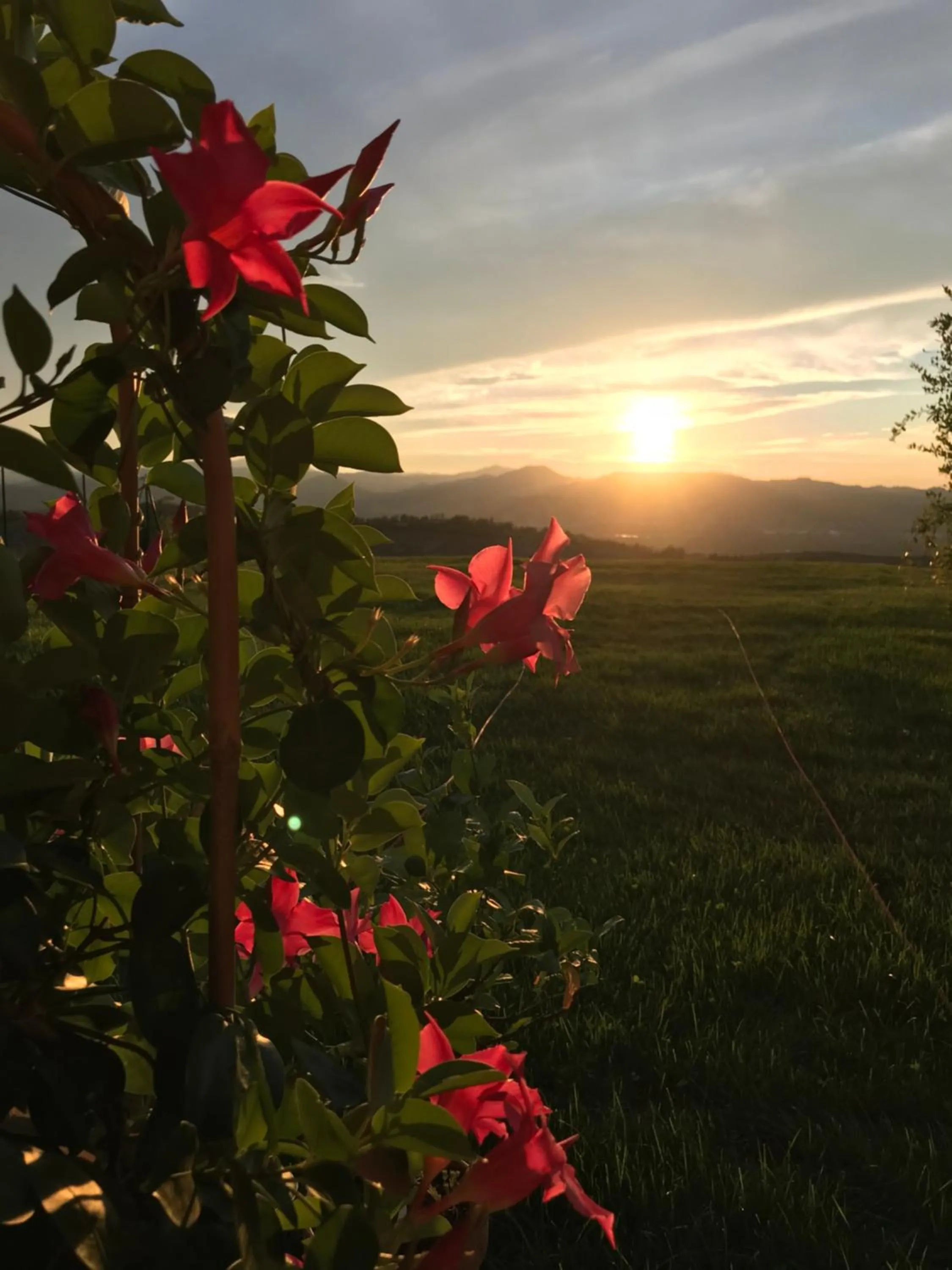 Garden in B&B La Casa Del Sole