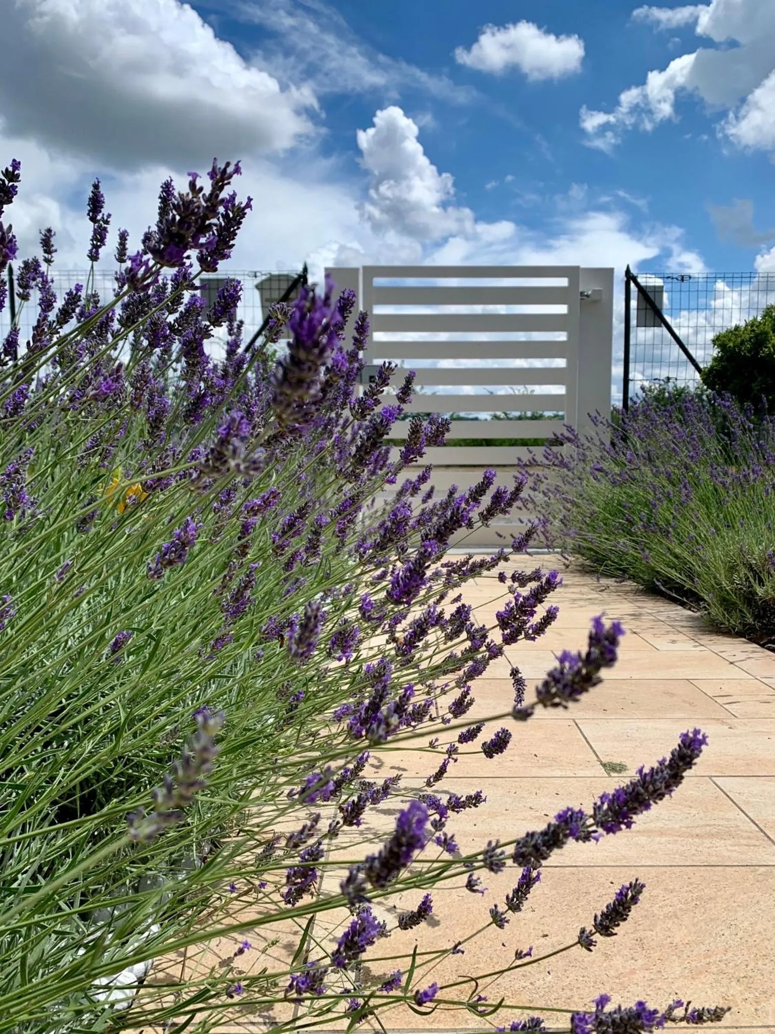 Garden in B&B La Casa Del Sole