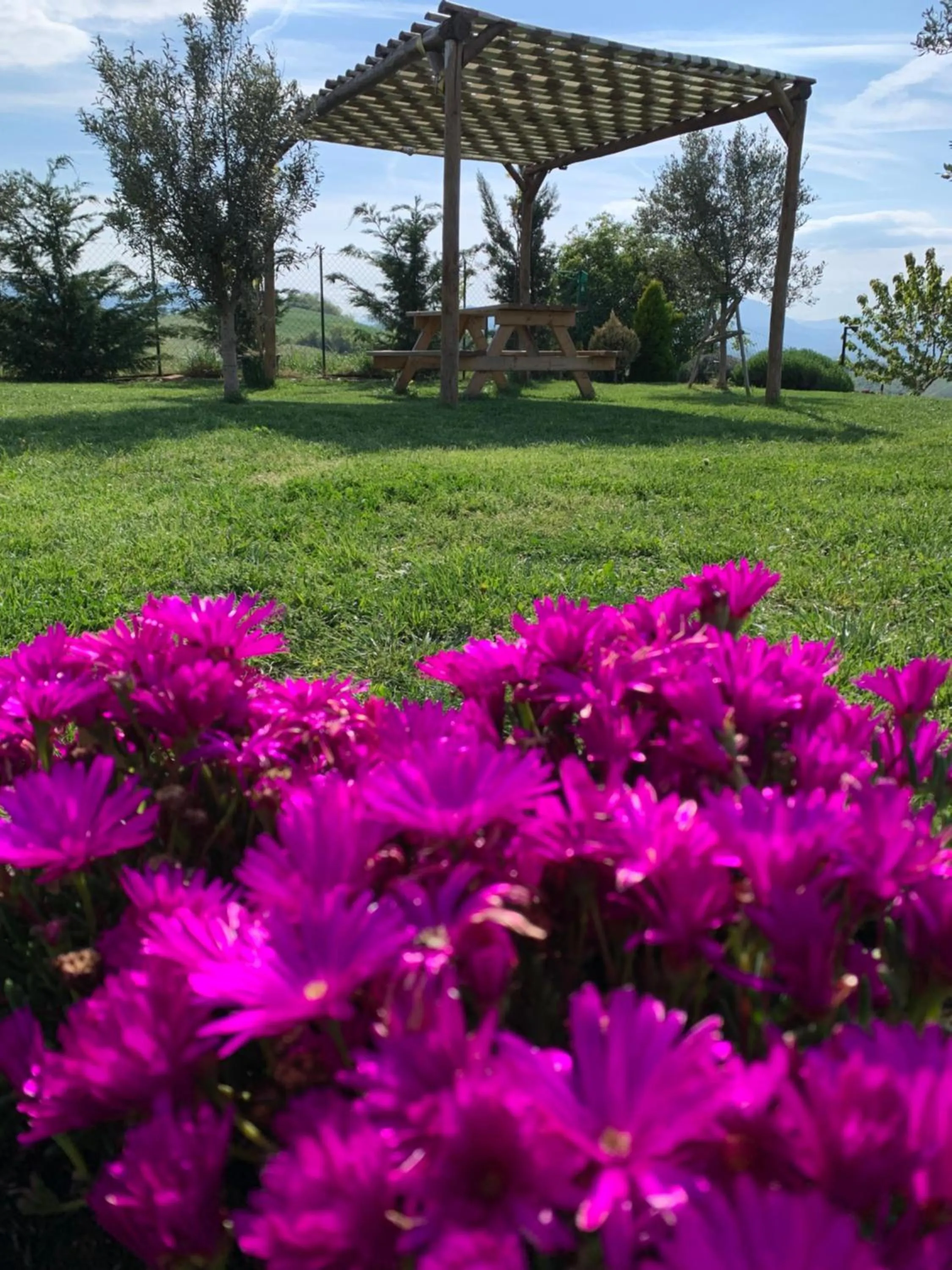 Garden in B&B La Casa Del Sole