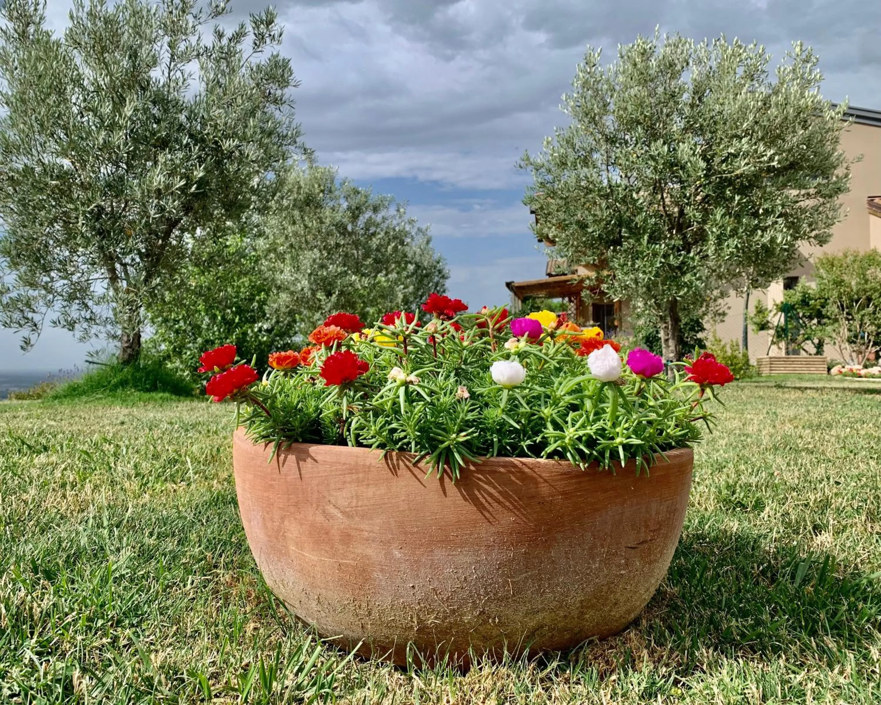 Garden in B&B La Casa Del Sole