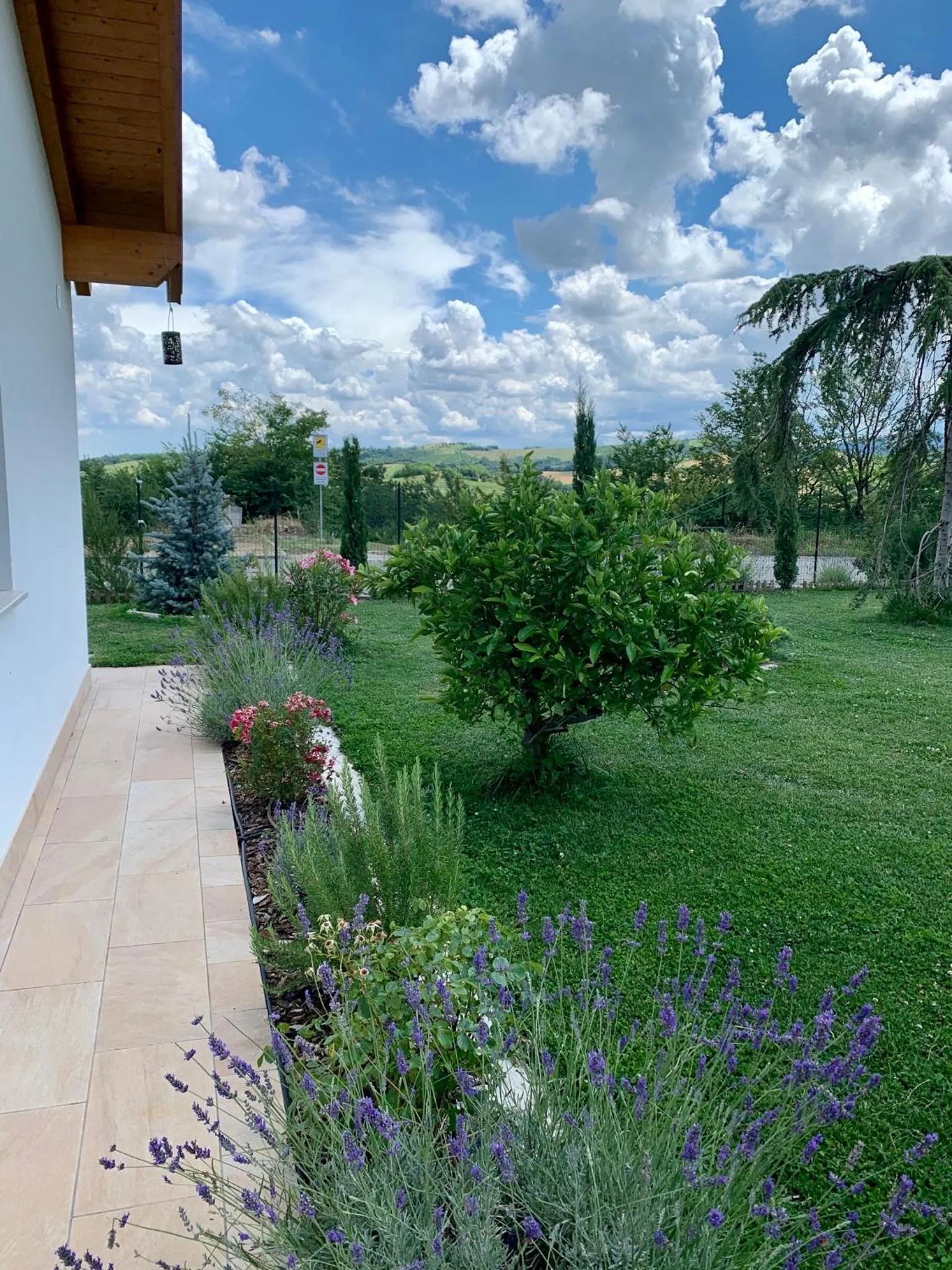 Garden in B&B La Casa Del Sole