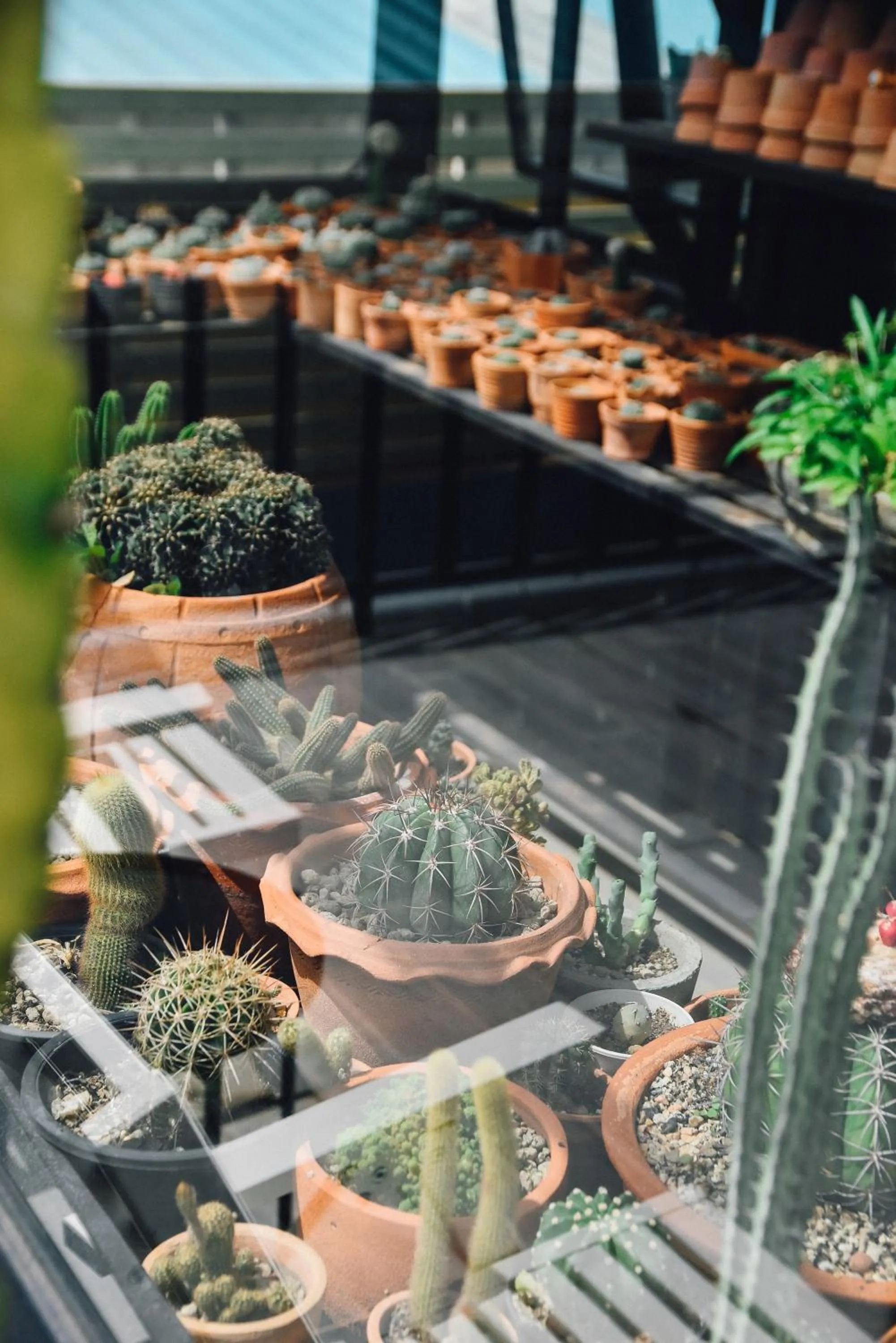 Property building in P.U. Inn Resort